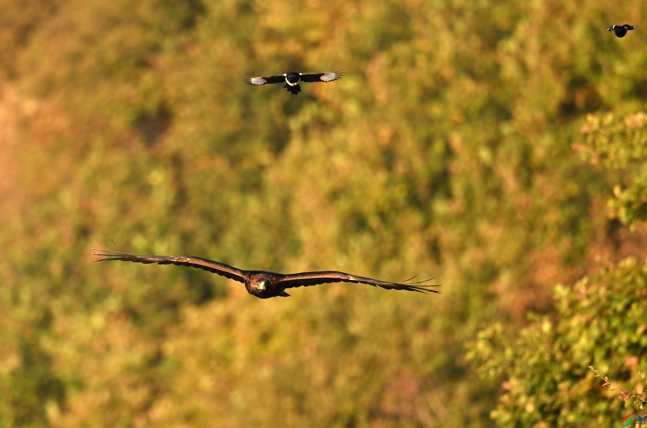 DSC_1518-1.JPG