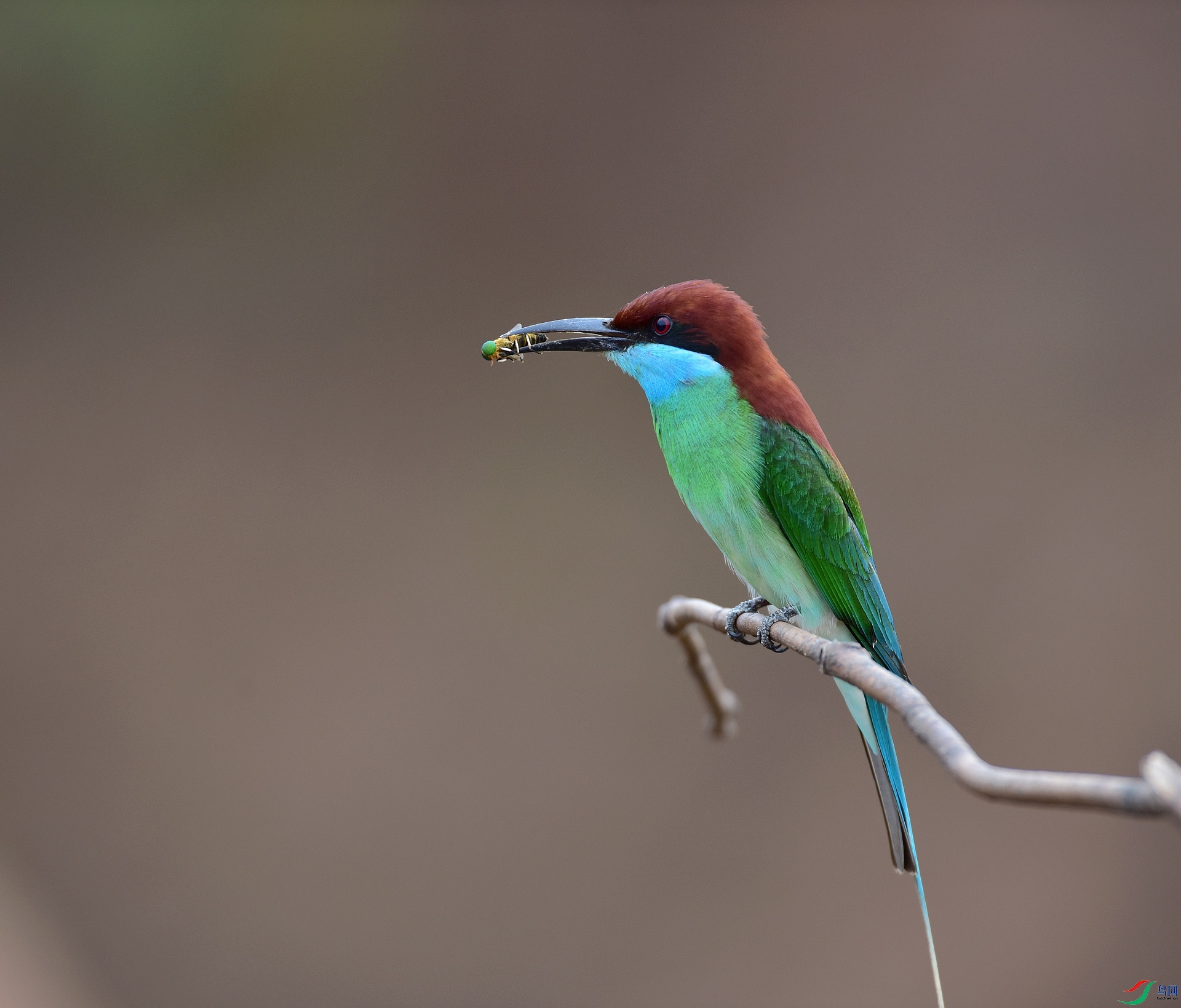 D8I_9935.jpg