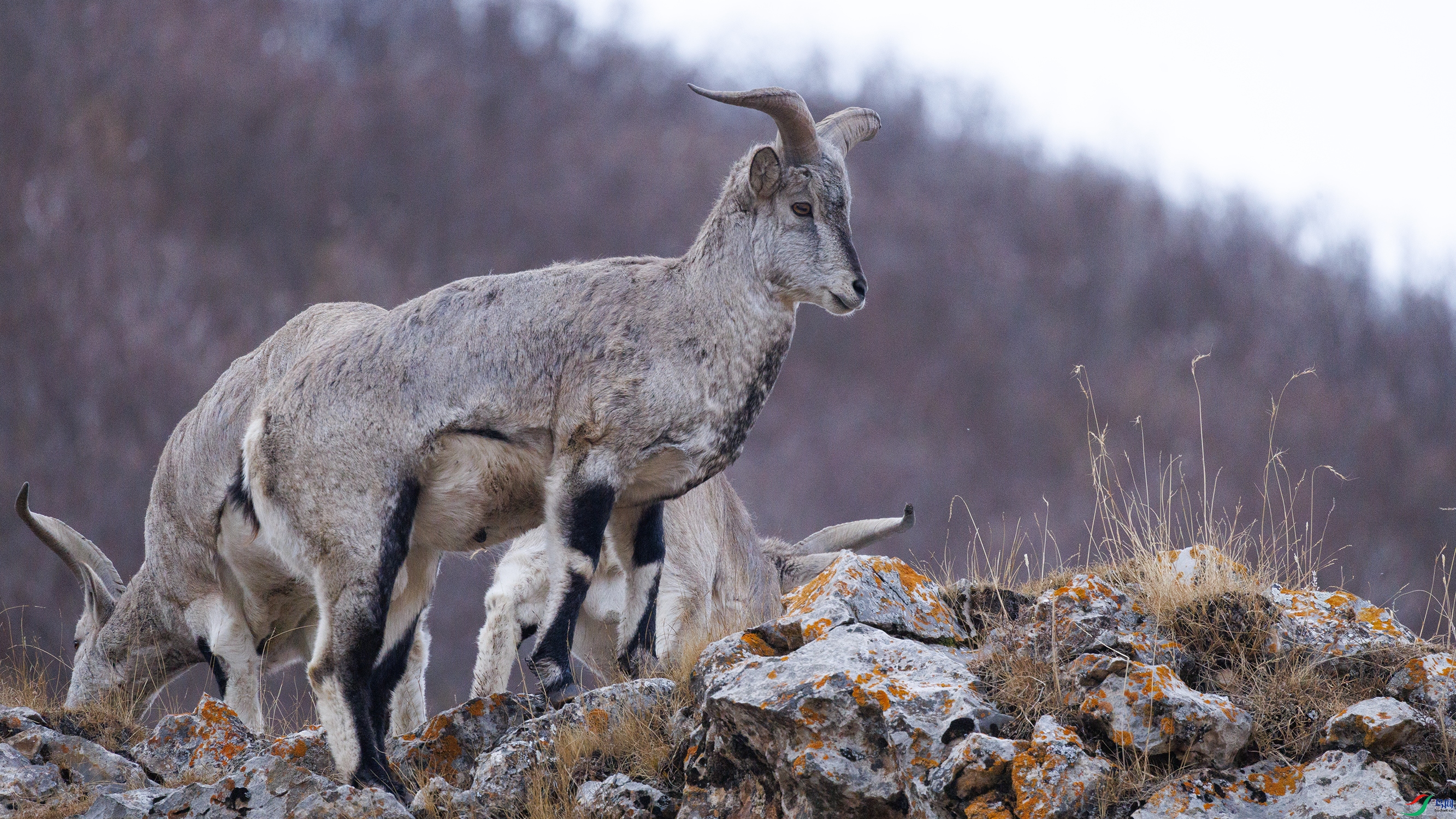 7X5A3922 ����77777.jpg