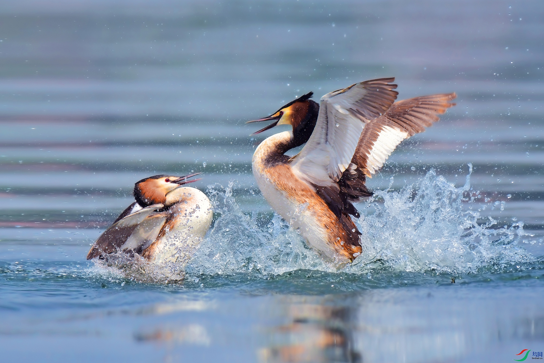 DSC_0406 ����..jpg