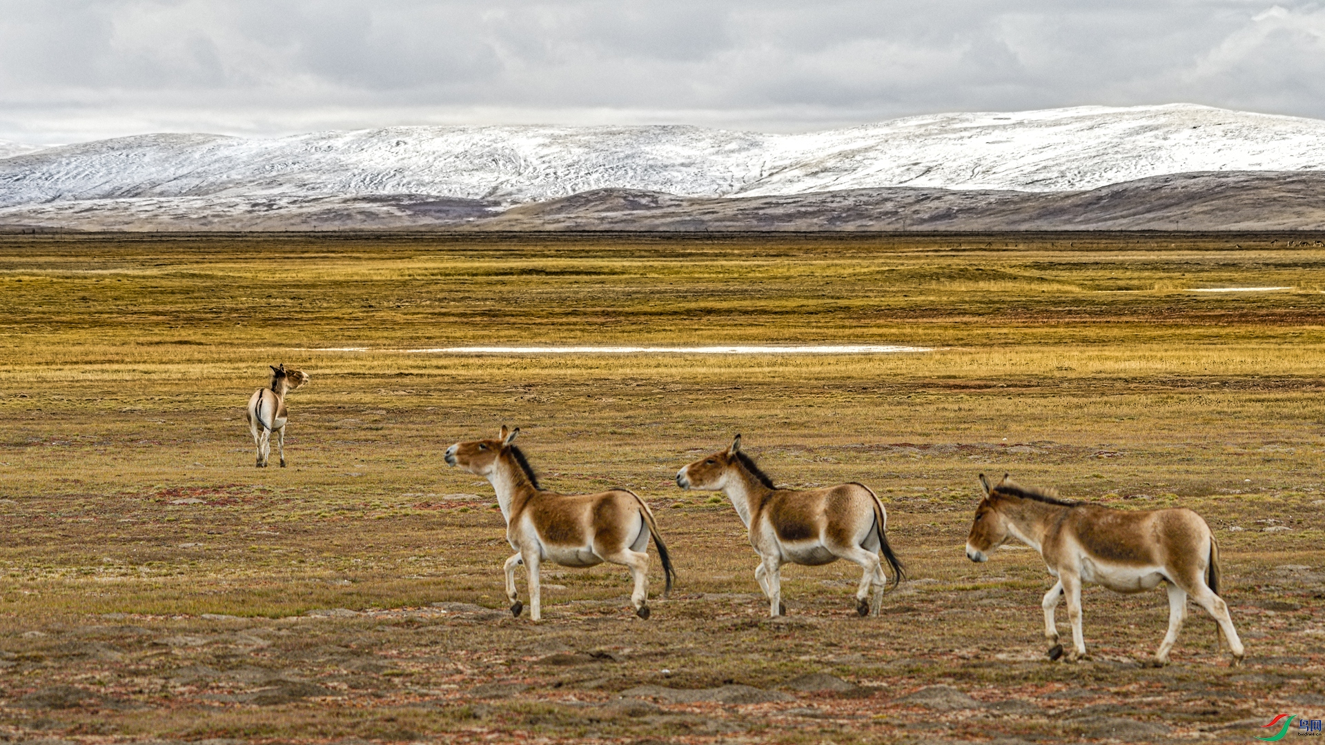 _DSC7793_����.jpg
