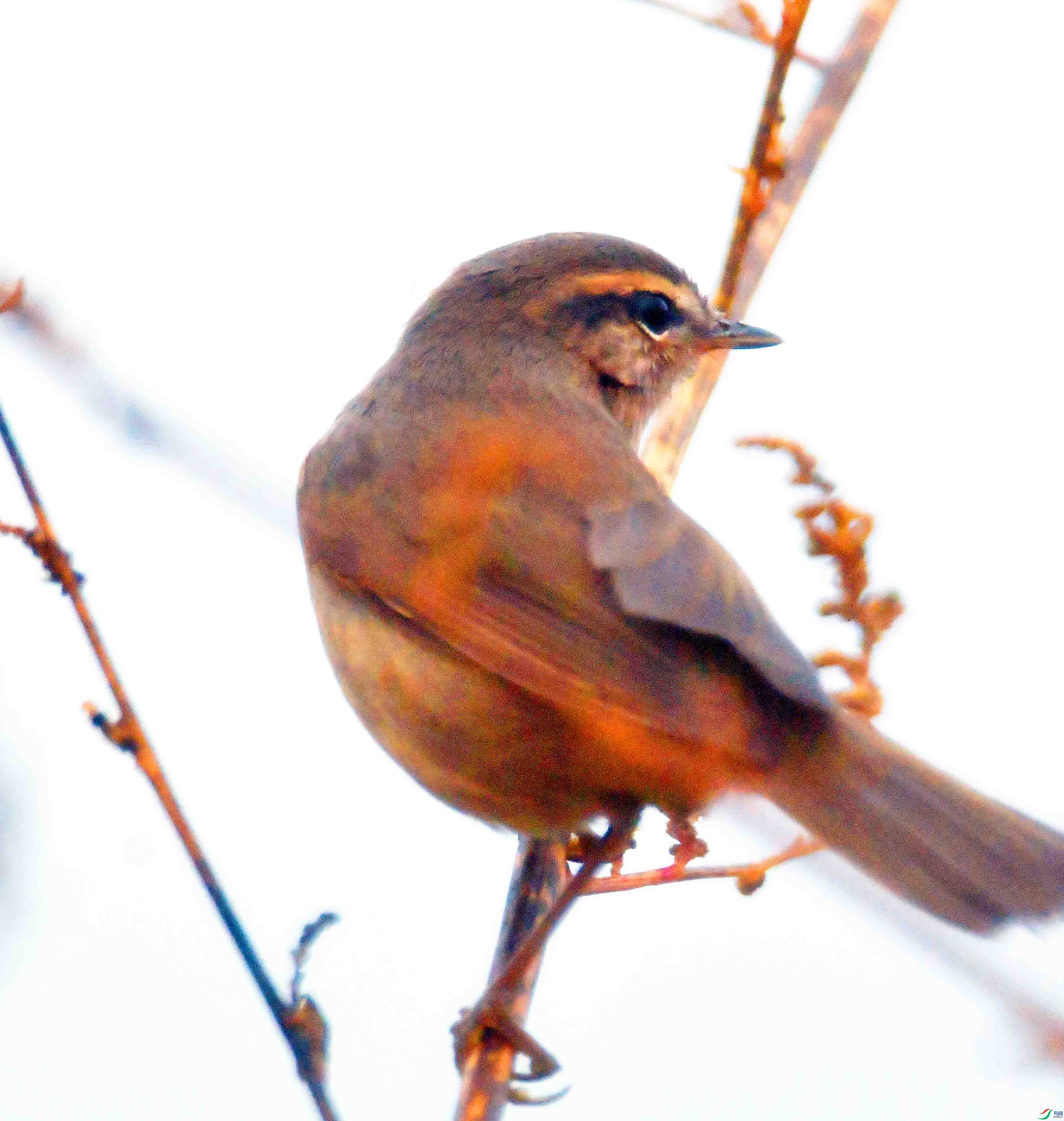DSC_0098.JPG