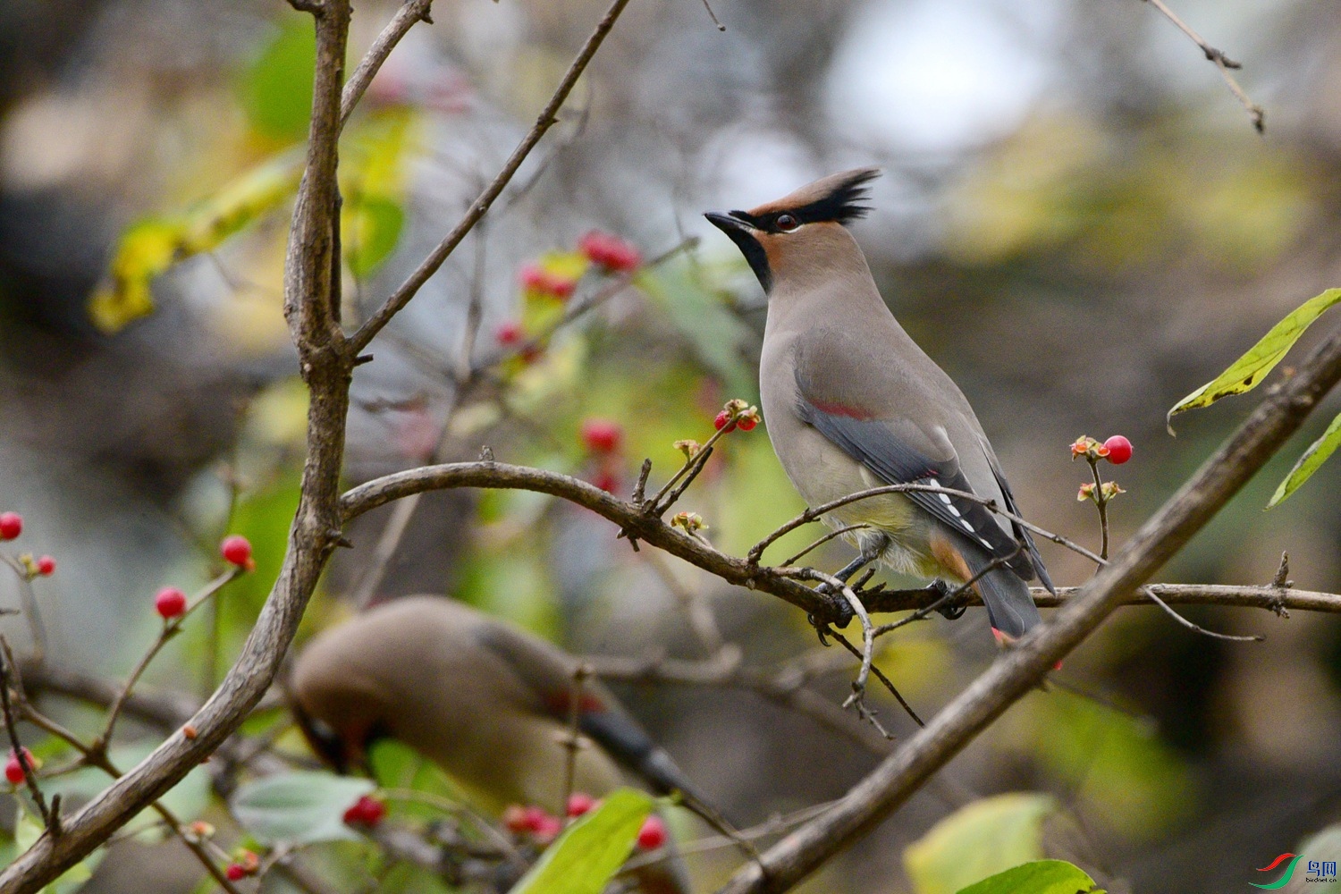 DSC_5838.JPG