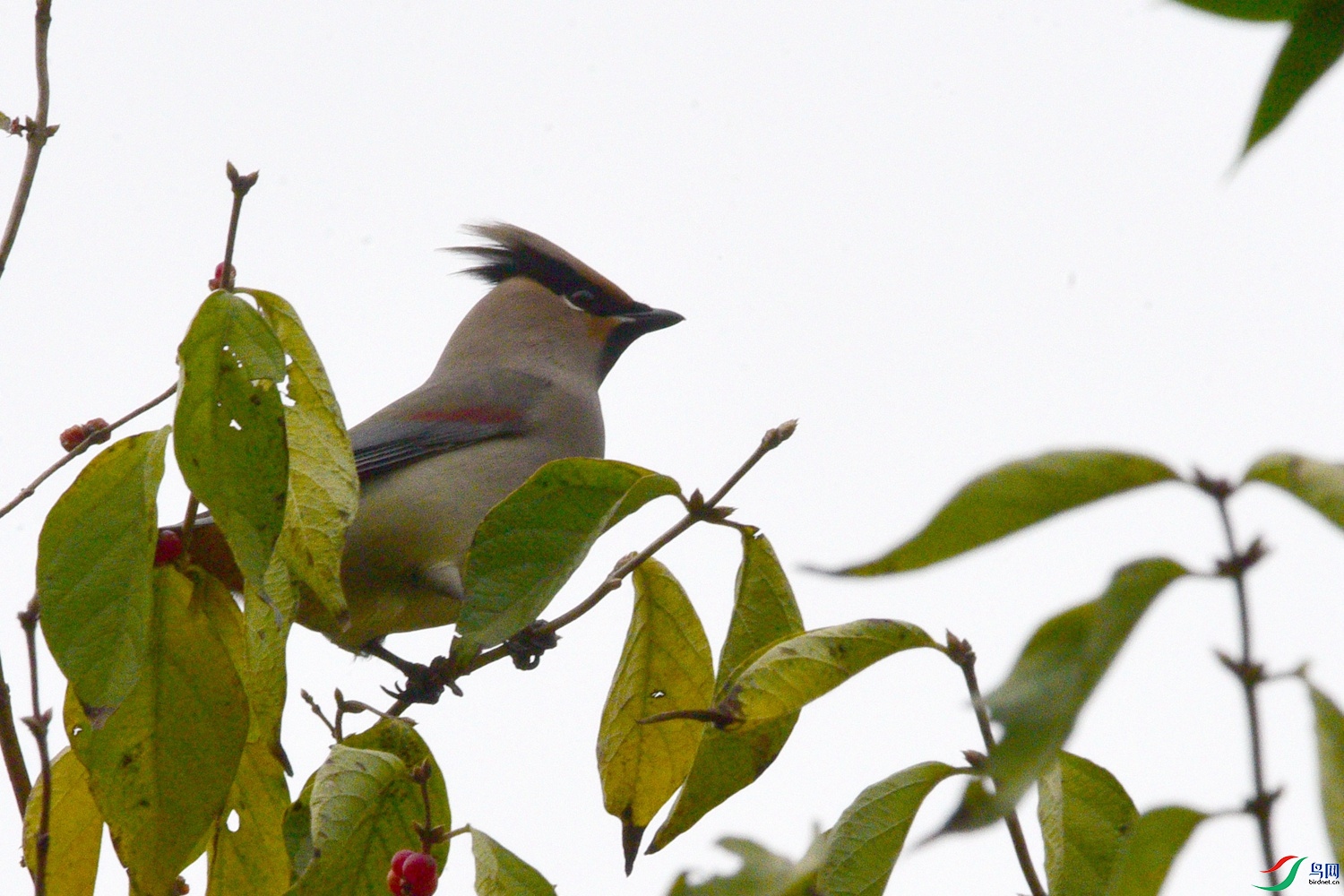 DSC_5820.JPG