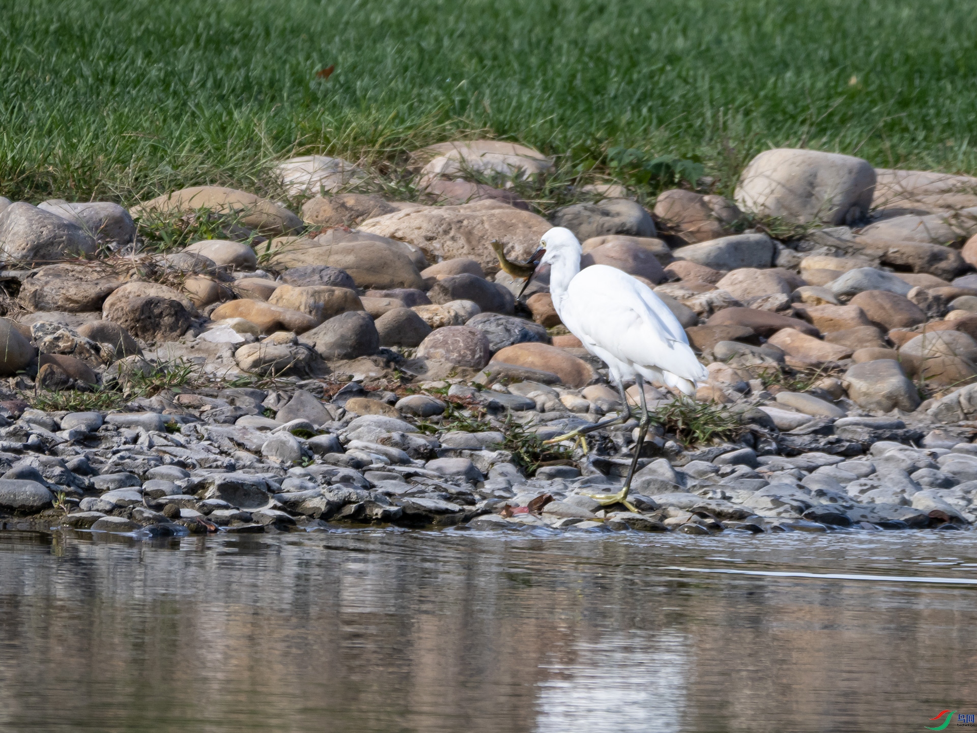 PA021403.jpg