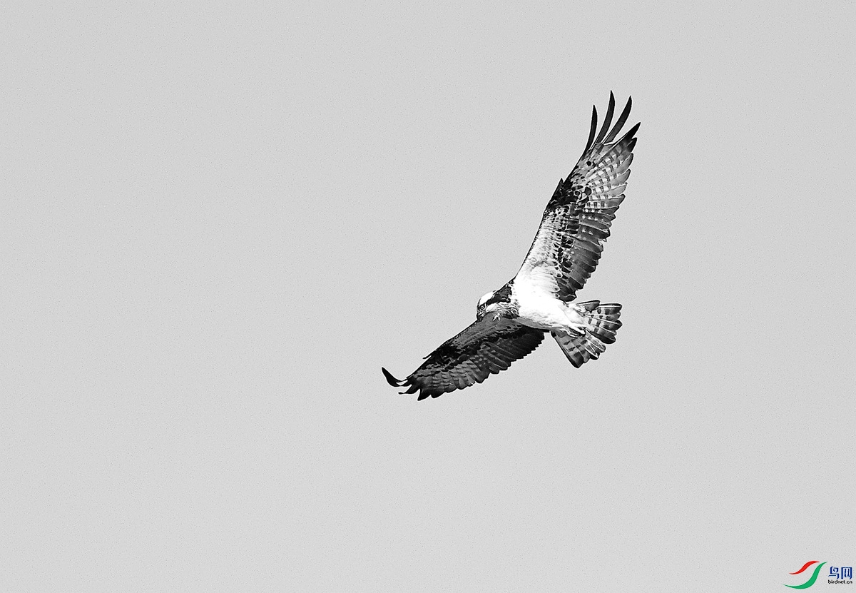 H3A6101��-24.JPG