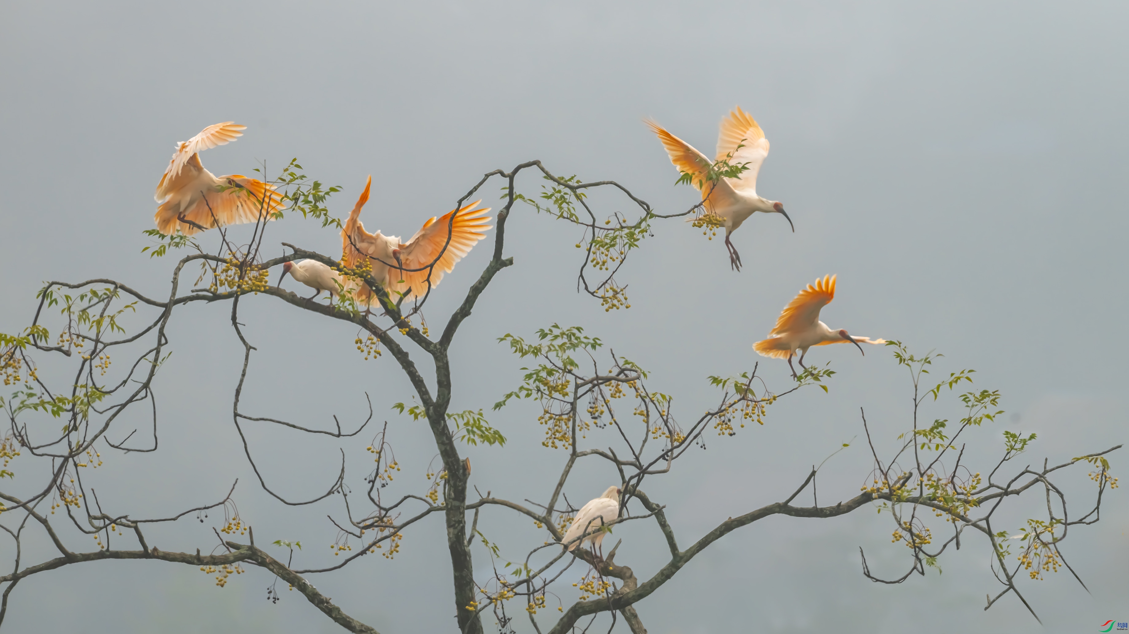 5598 ����.jpg