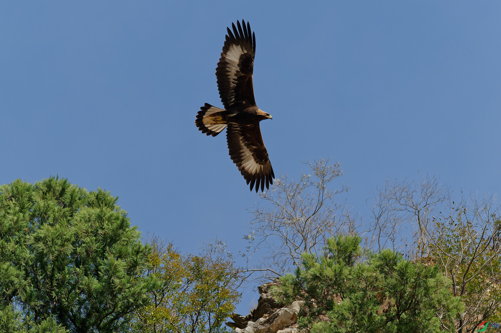 DSC_2753.jpg