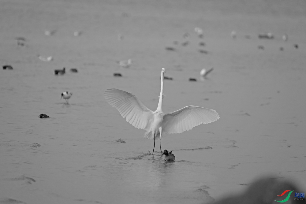 DSCF1785.1.jpg