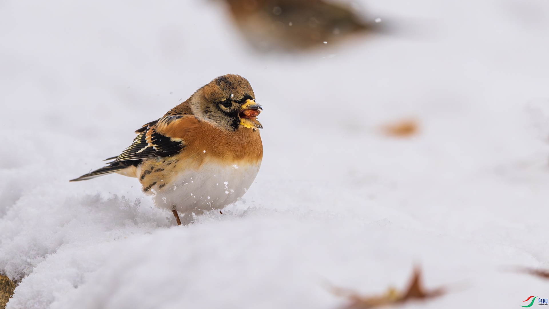 1_DSC5191-����ǿ-NR ����.jpeg