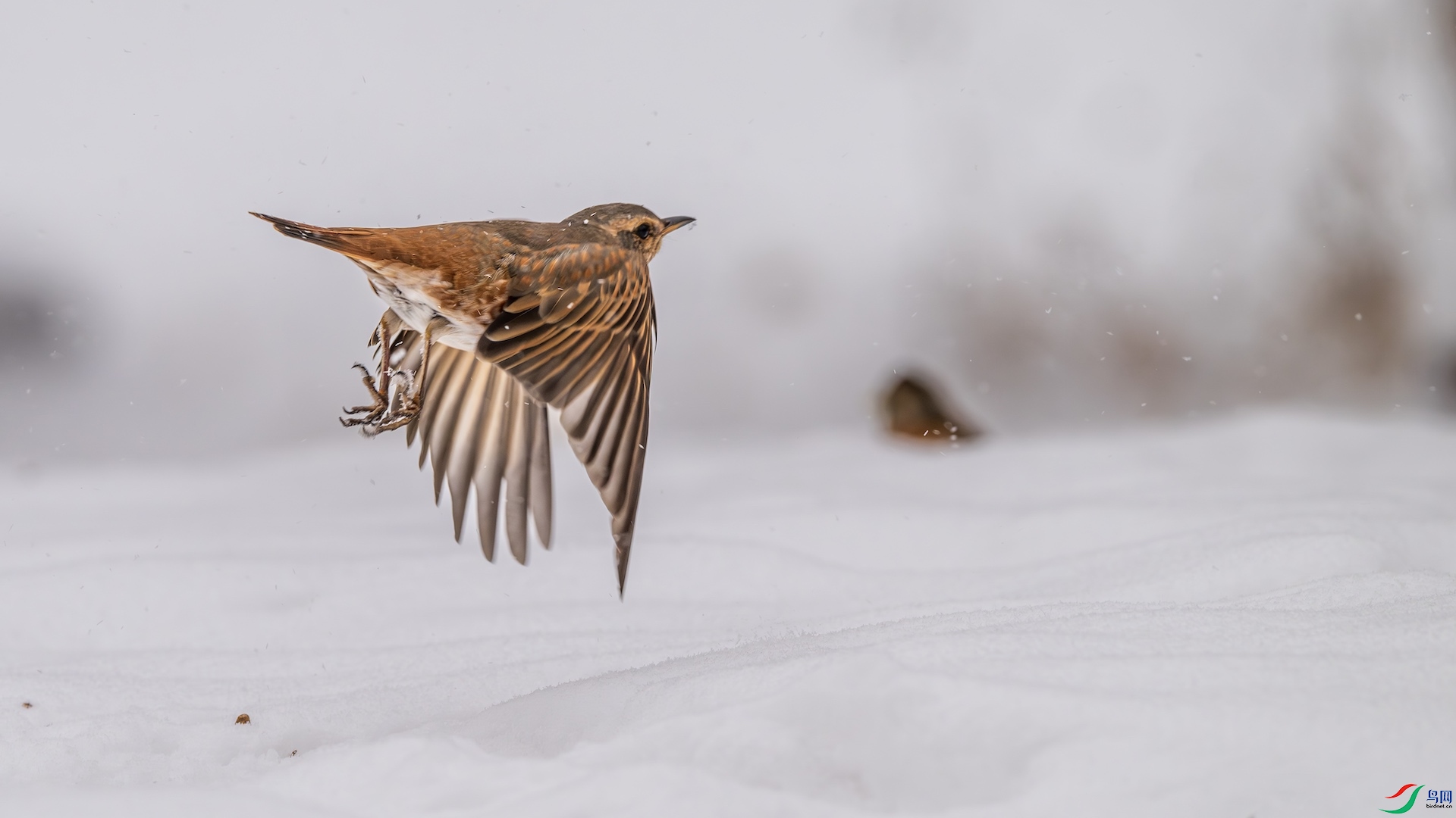 1_DSC5829-����ǿ-NR ����.jpeg