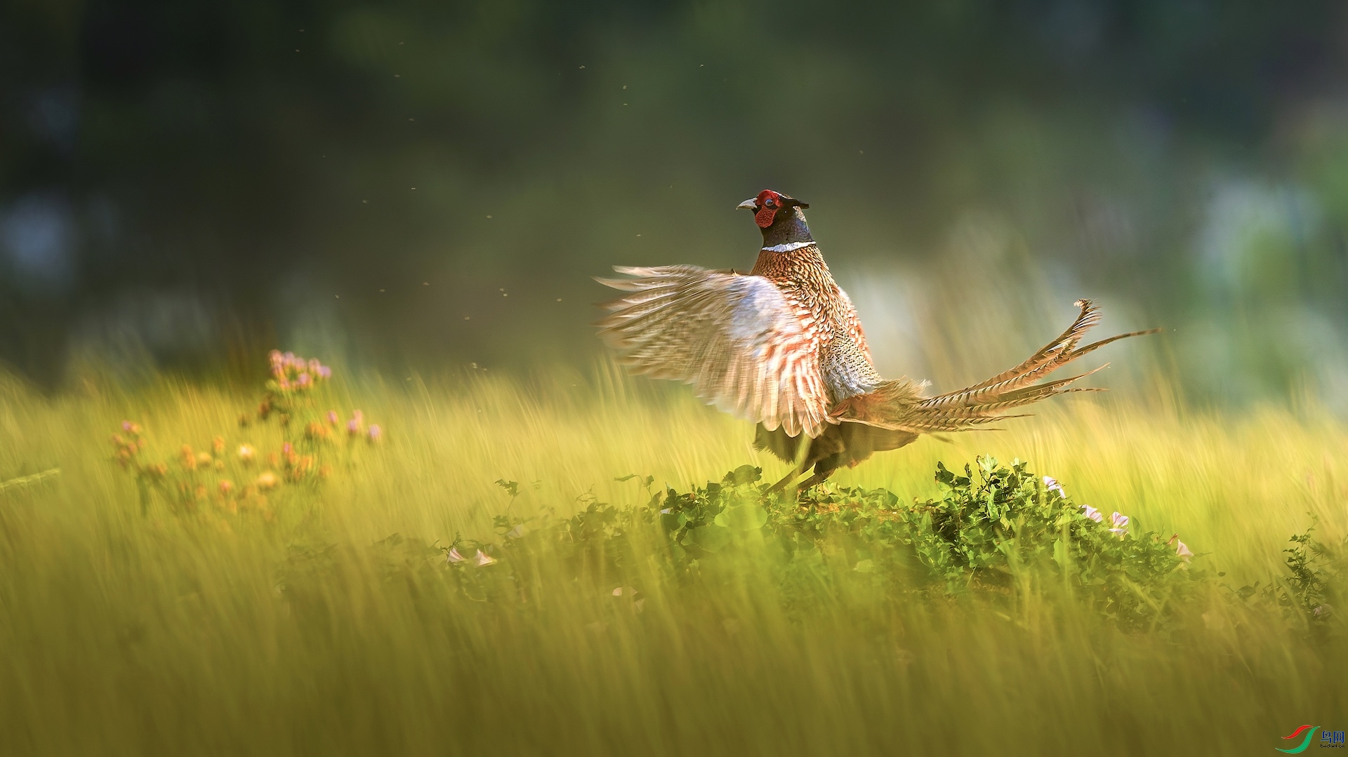 1_XXL3418-����ǿ-NR ���� 2.jpg99 2.jpeg