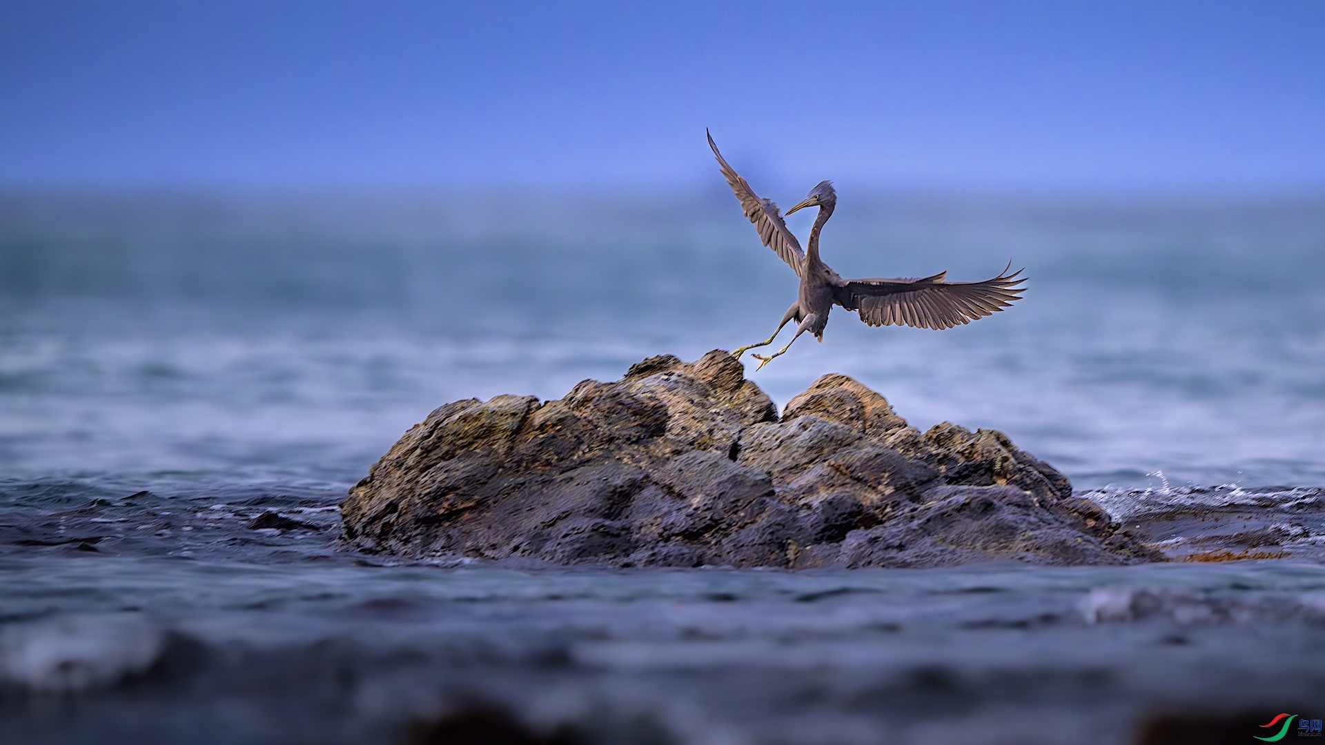 1_XXL4954-����ǿ-NR ����.jpeg