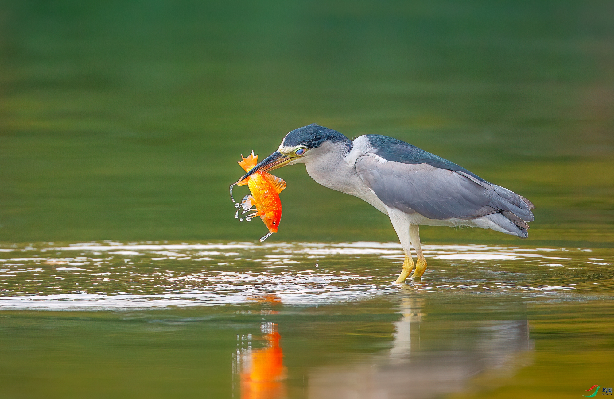 mmexport1667817631569.jpg
