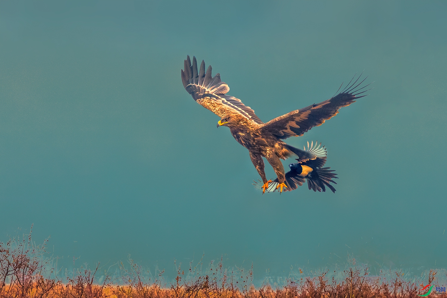 ϲȵ����ԭ��----�����ϴ��