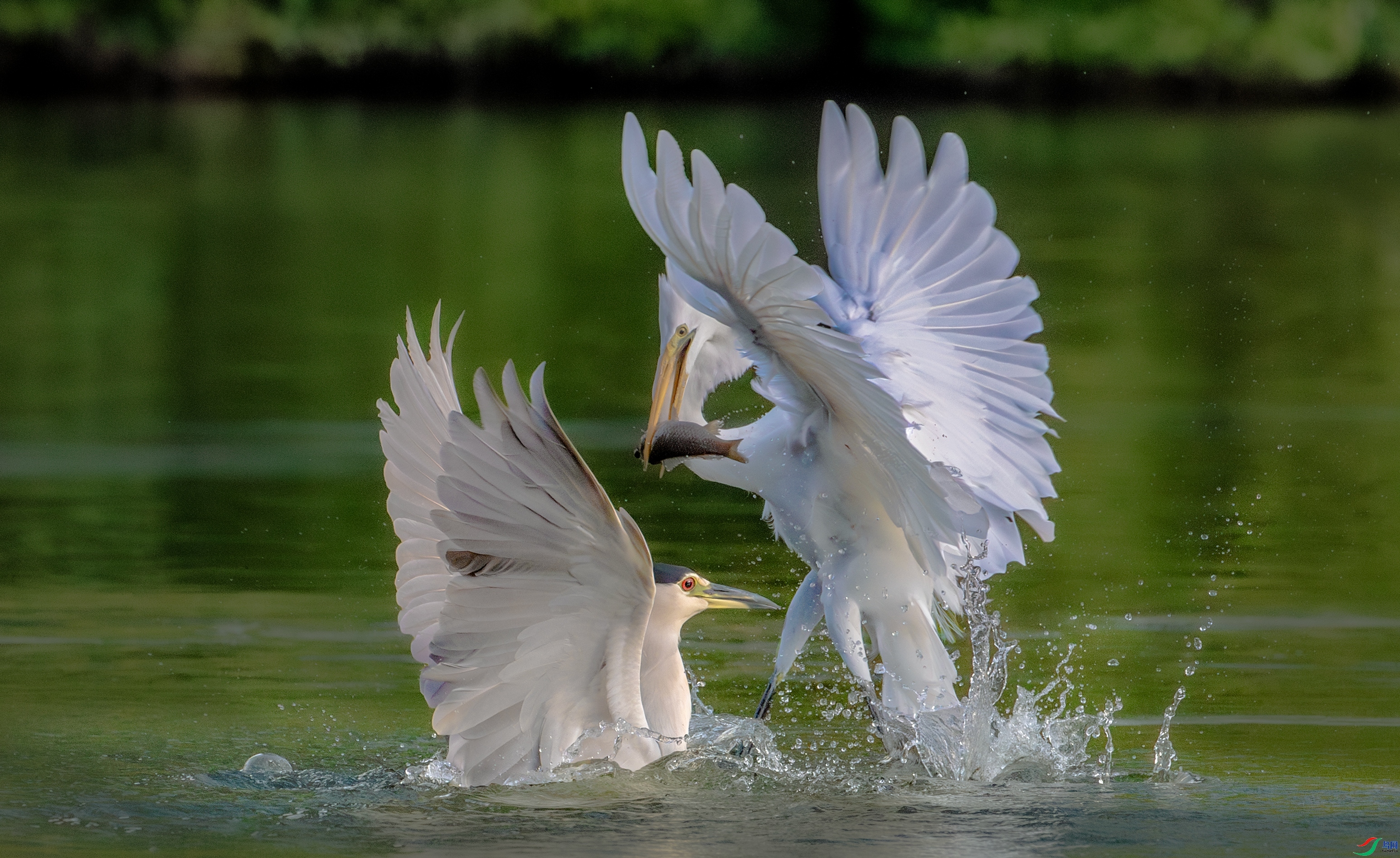 ÿ�ռ��� ��Ľ���� ���� ���� ��һ.jpg