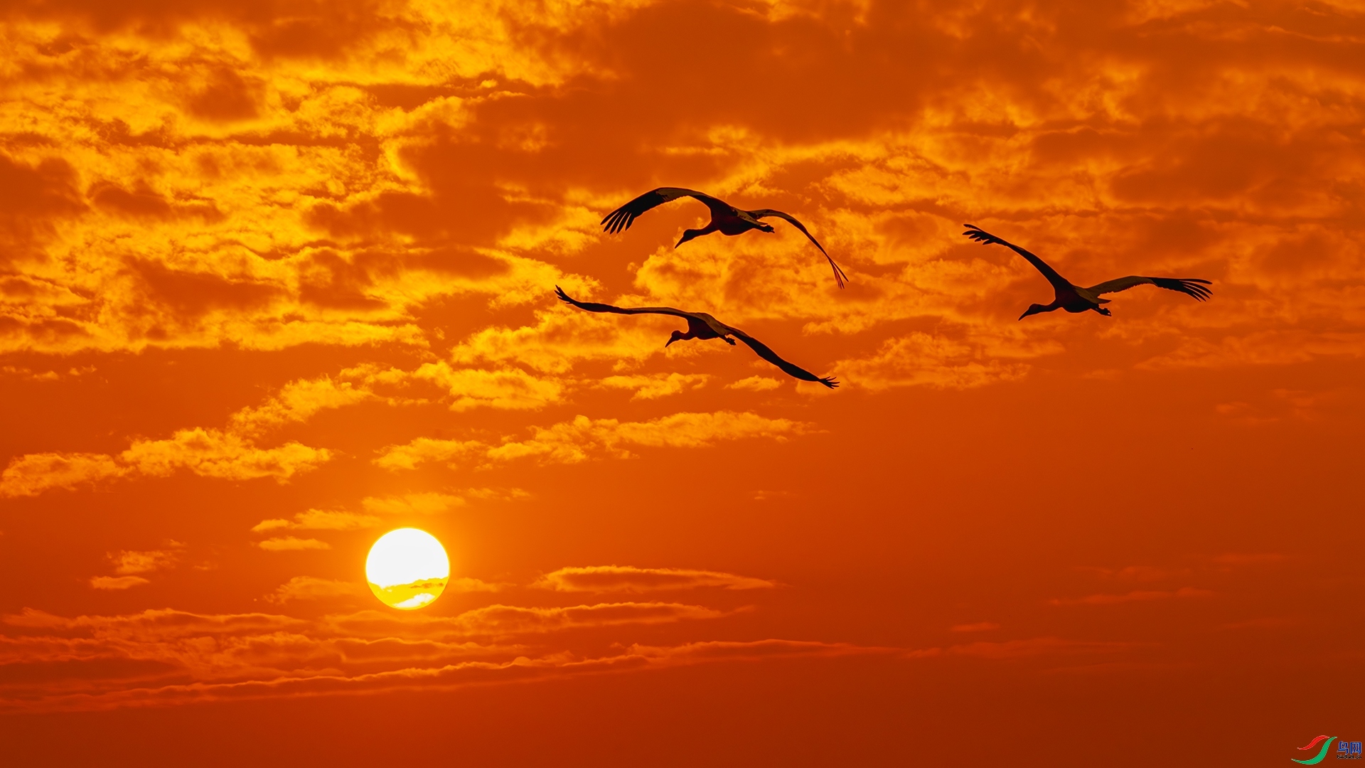 ÿ�ռ��� �Ǹ�������  ���� ����ǿ �ܶ�.jpg