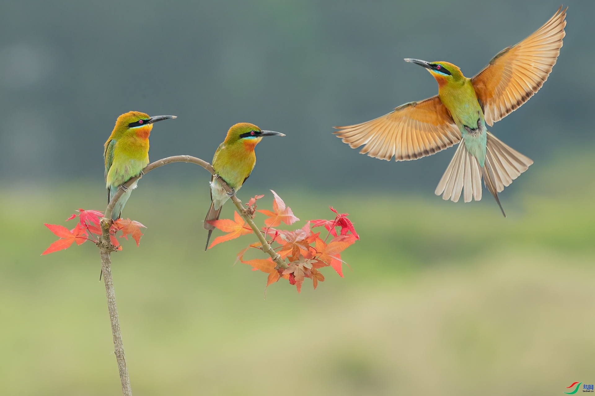 һ������  ���� ��һ.jpg