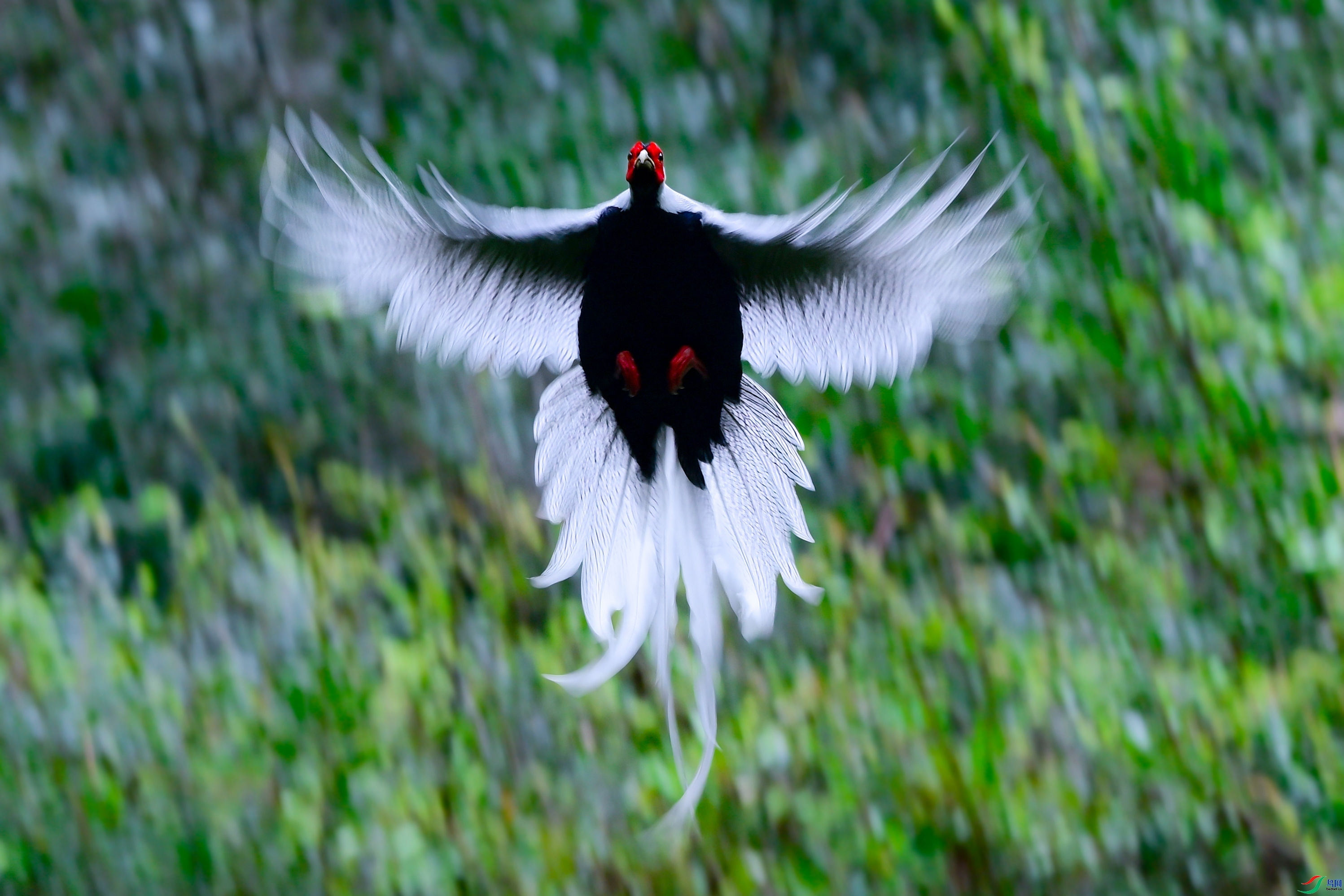 ƮȻ���� ���� �չ�����-����  ��һ.jpeg