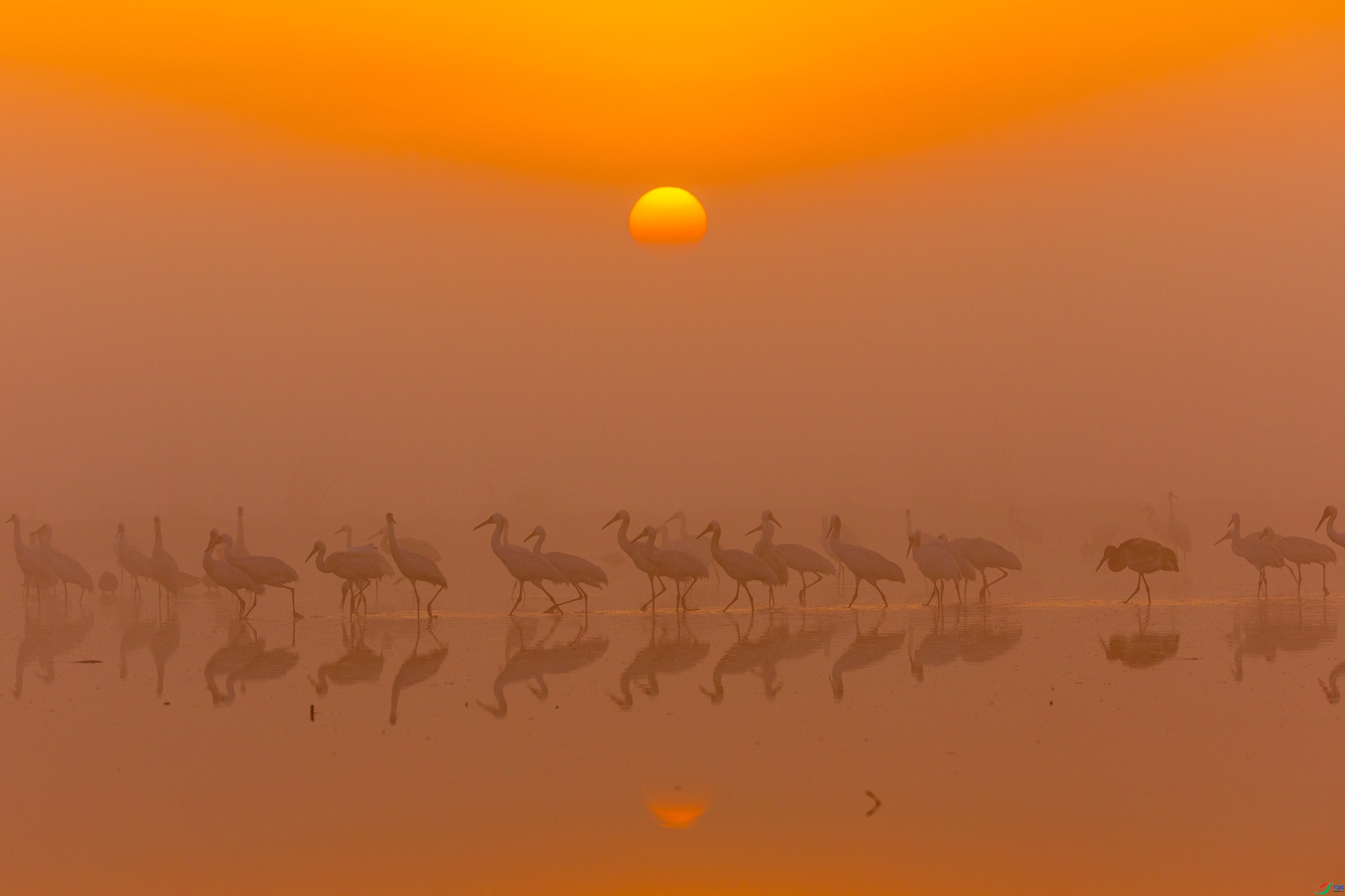 �׺� ���� ������ �ܶ�.jpg