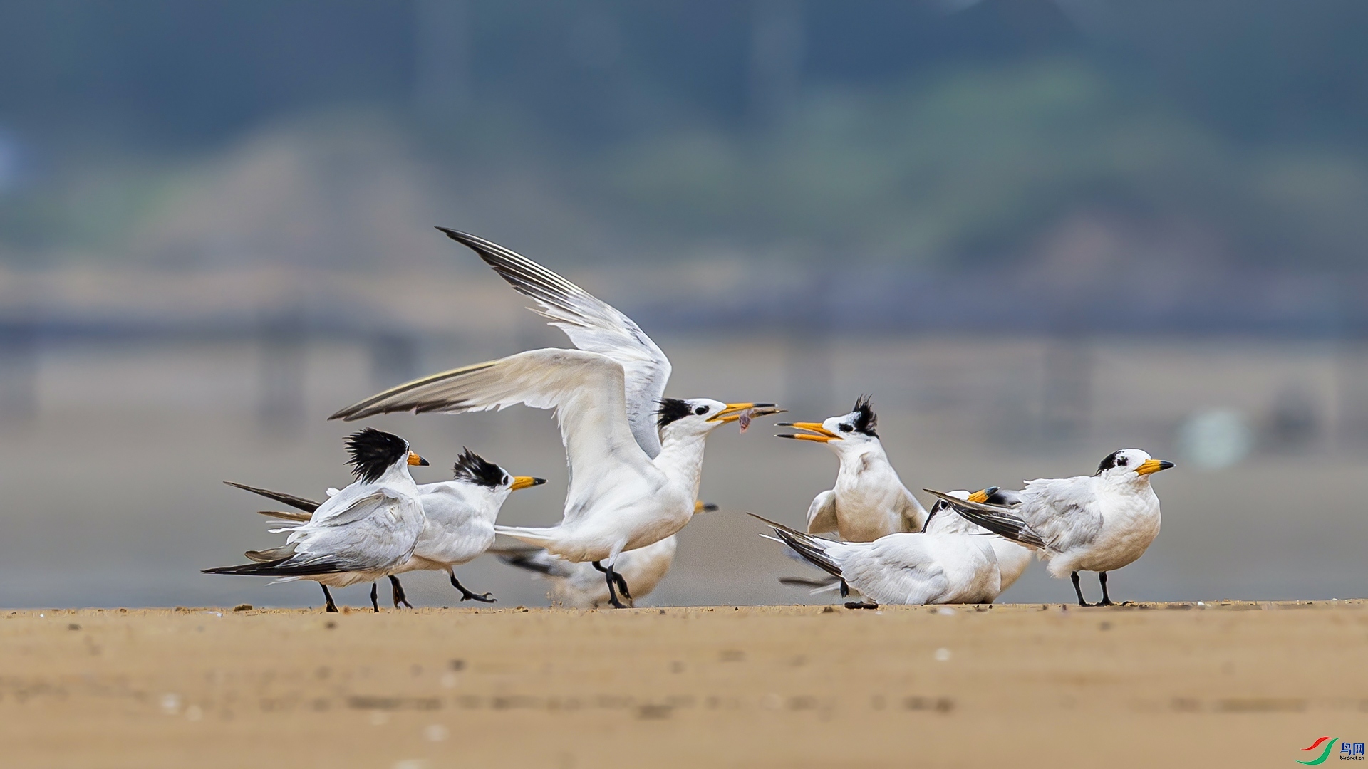 �л���ͷ��Ÿ ���� �羰�� �ܶ�.jpg