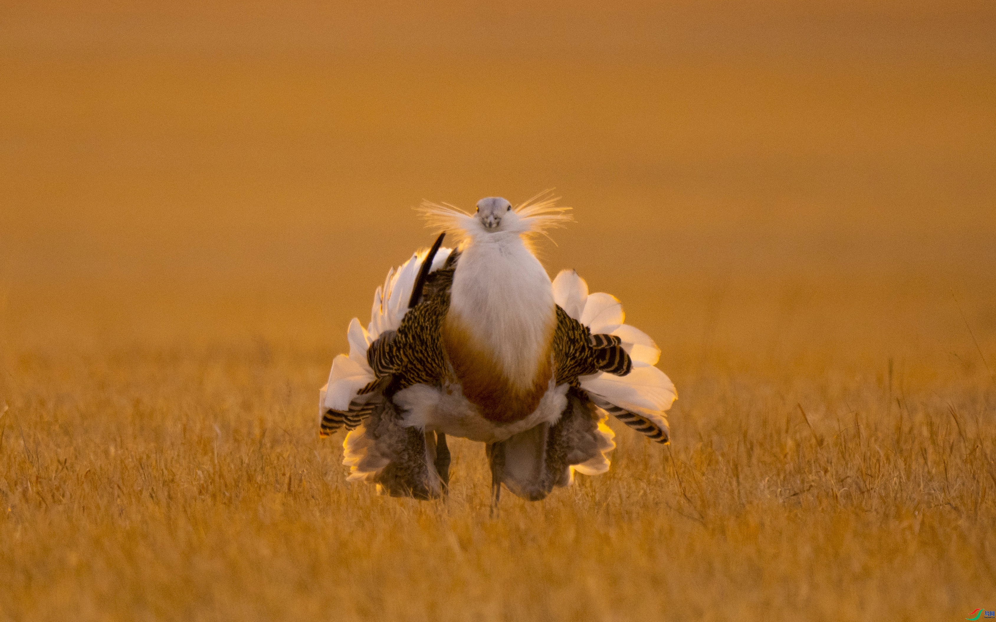 ����´�� ���� ����֮�� ����.jpg