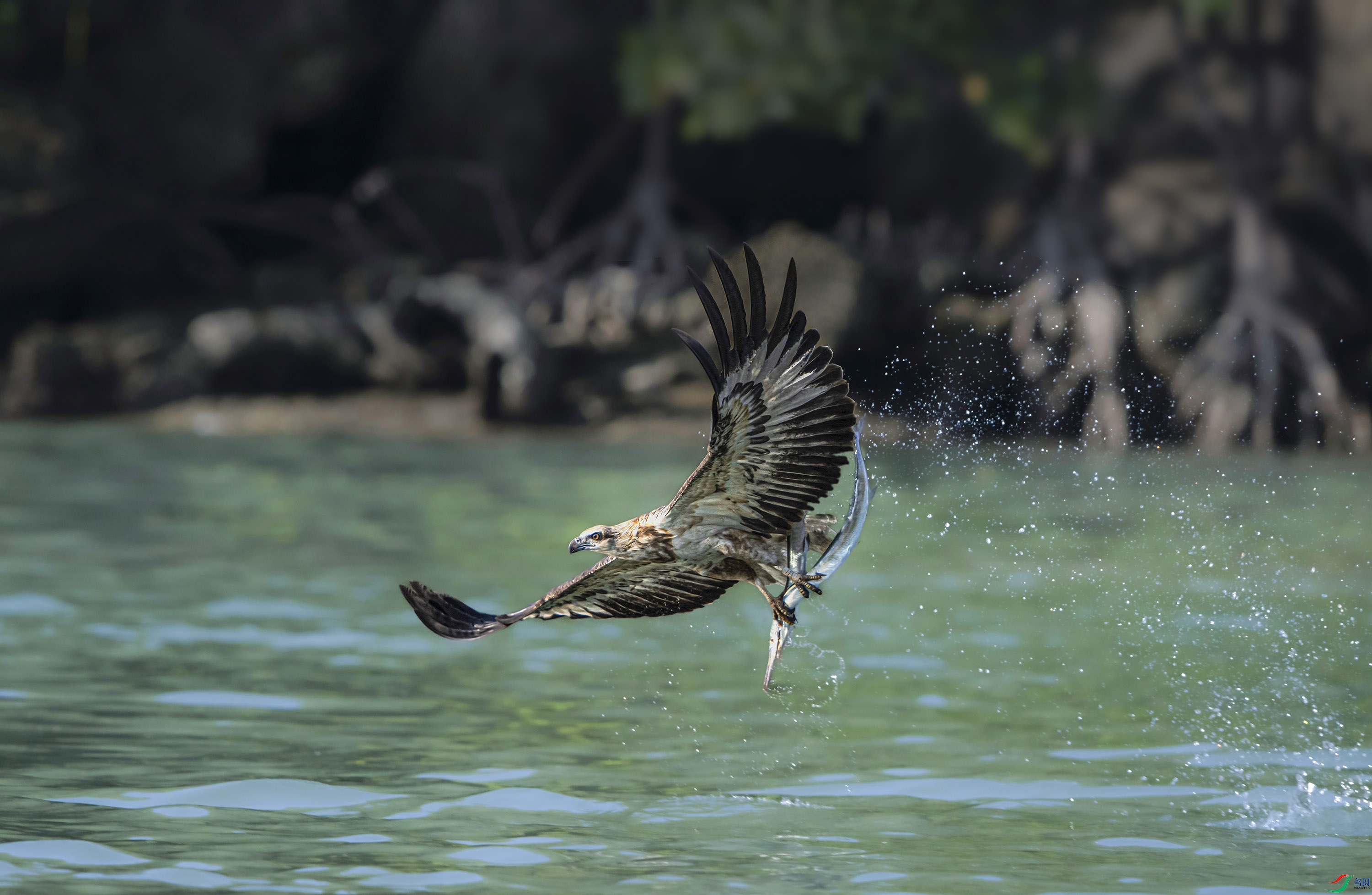 DSC_3494.jpg