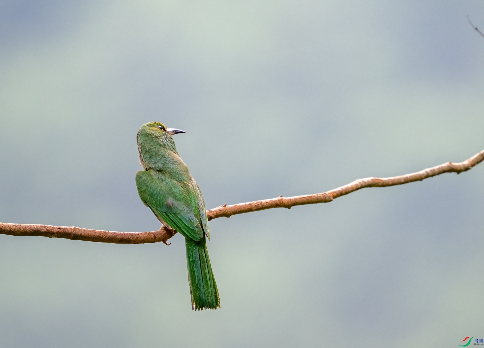 DSC_1735-1.jpg