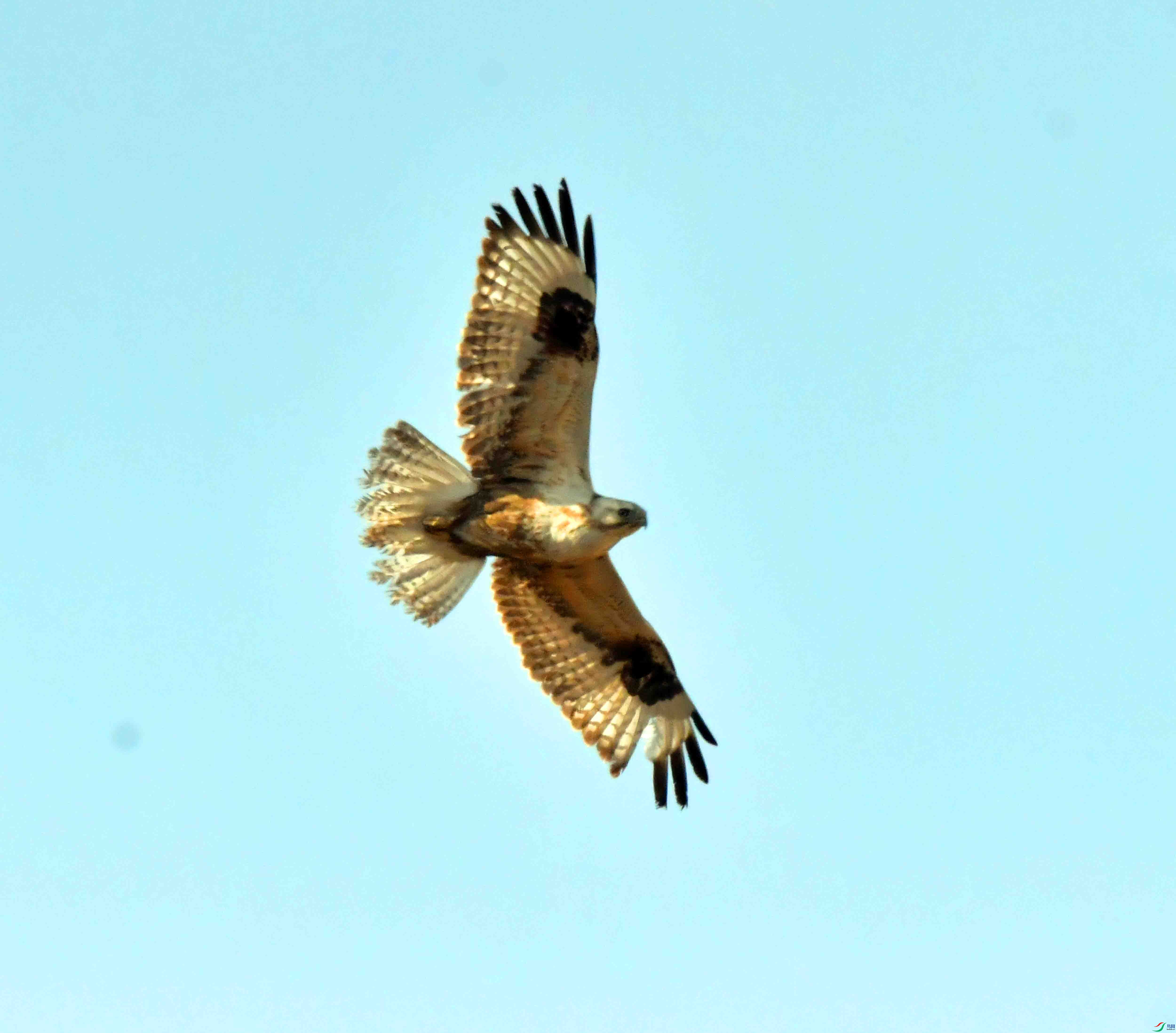 DSC_1801.JPG
