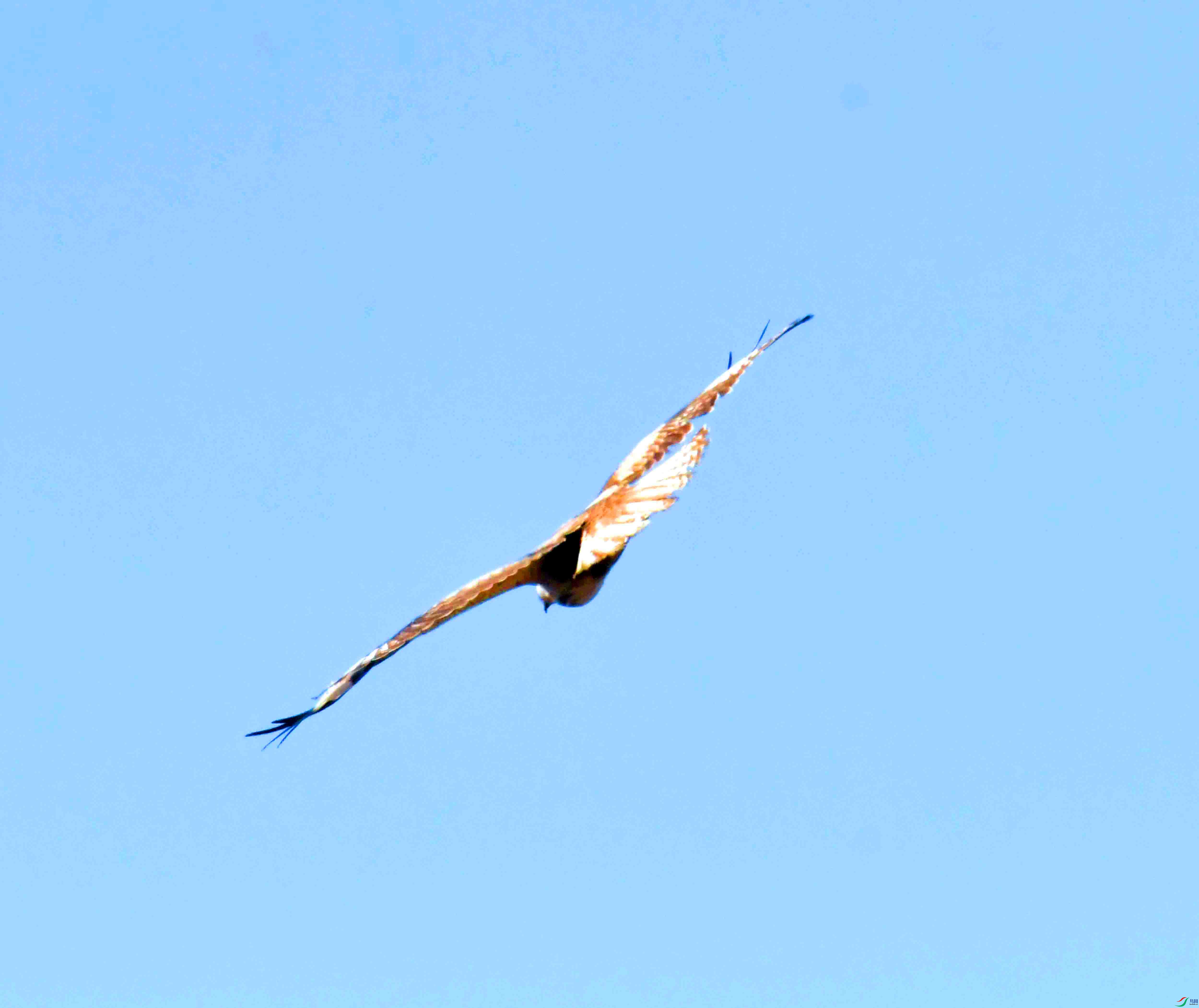 DSC_1789.JPG