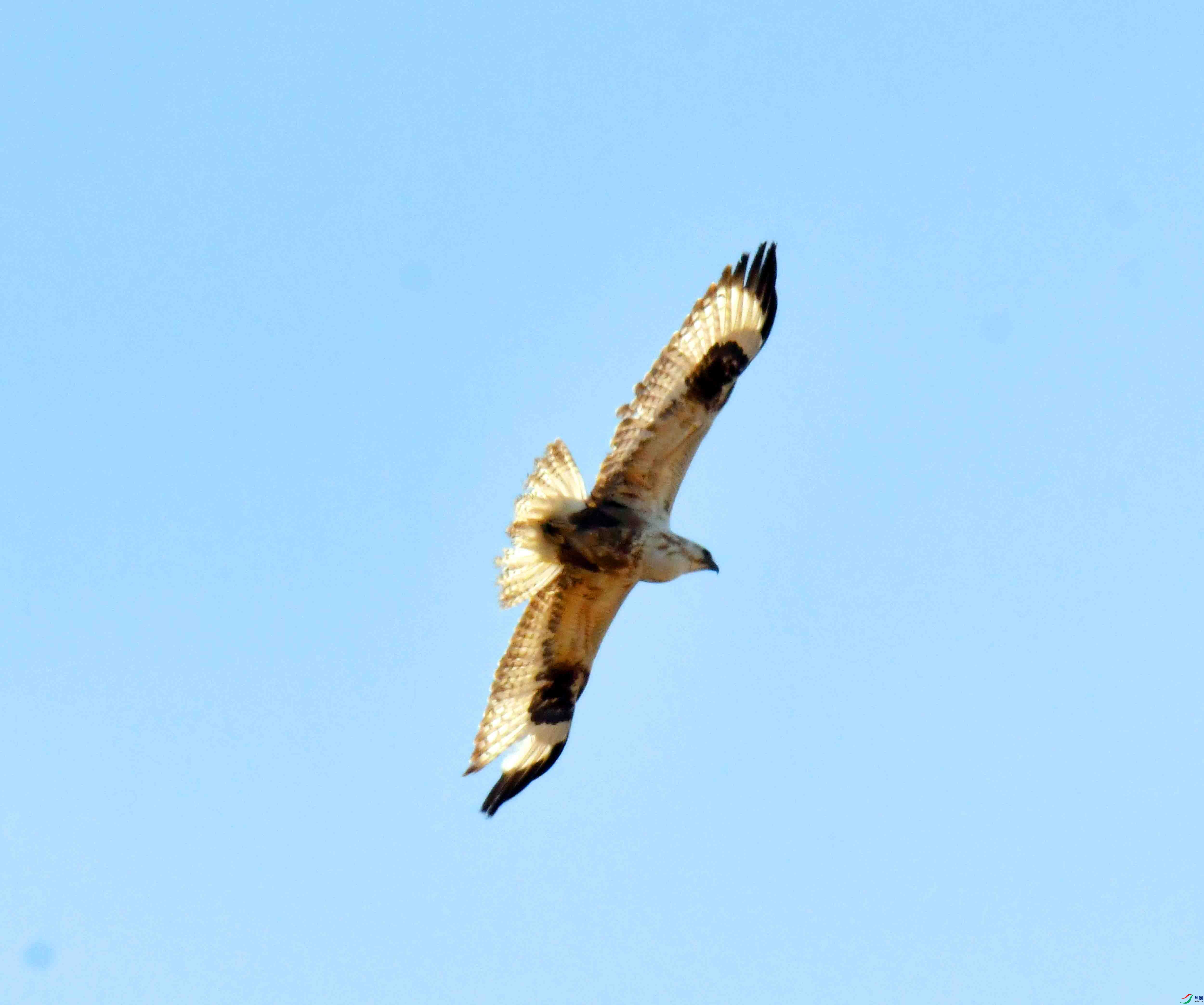 DSC_1834.JPG