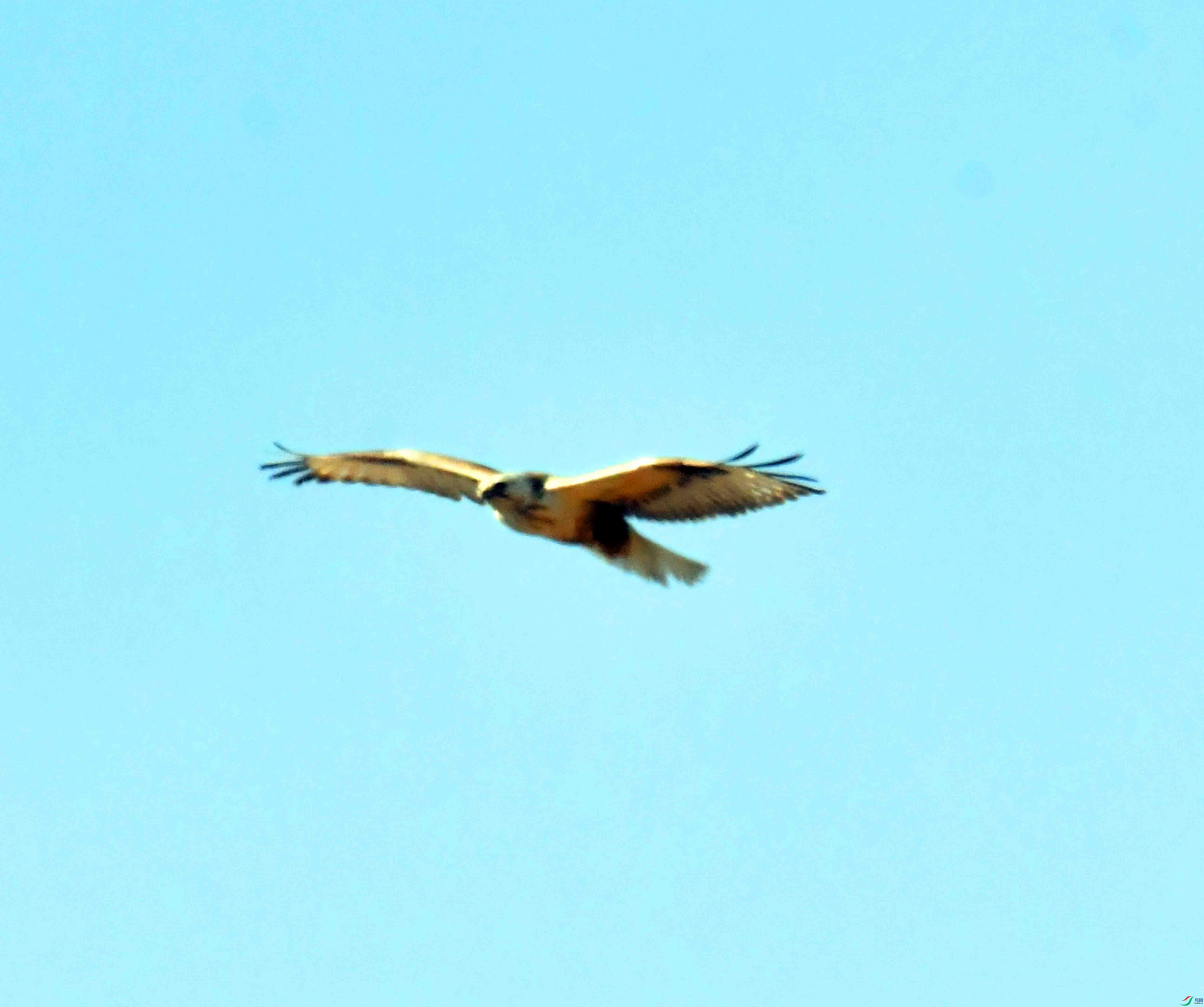 DSC_1843.JPG