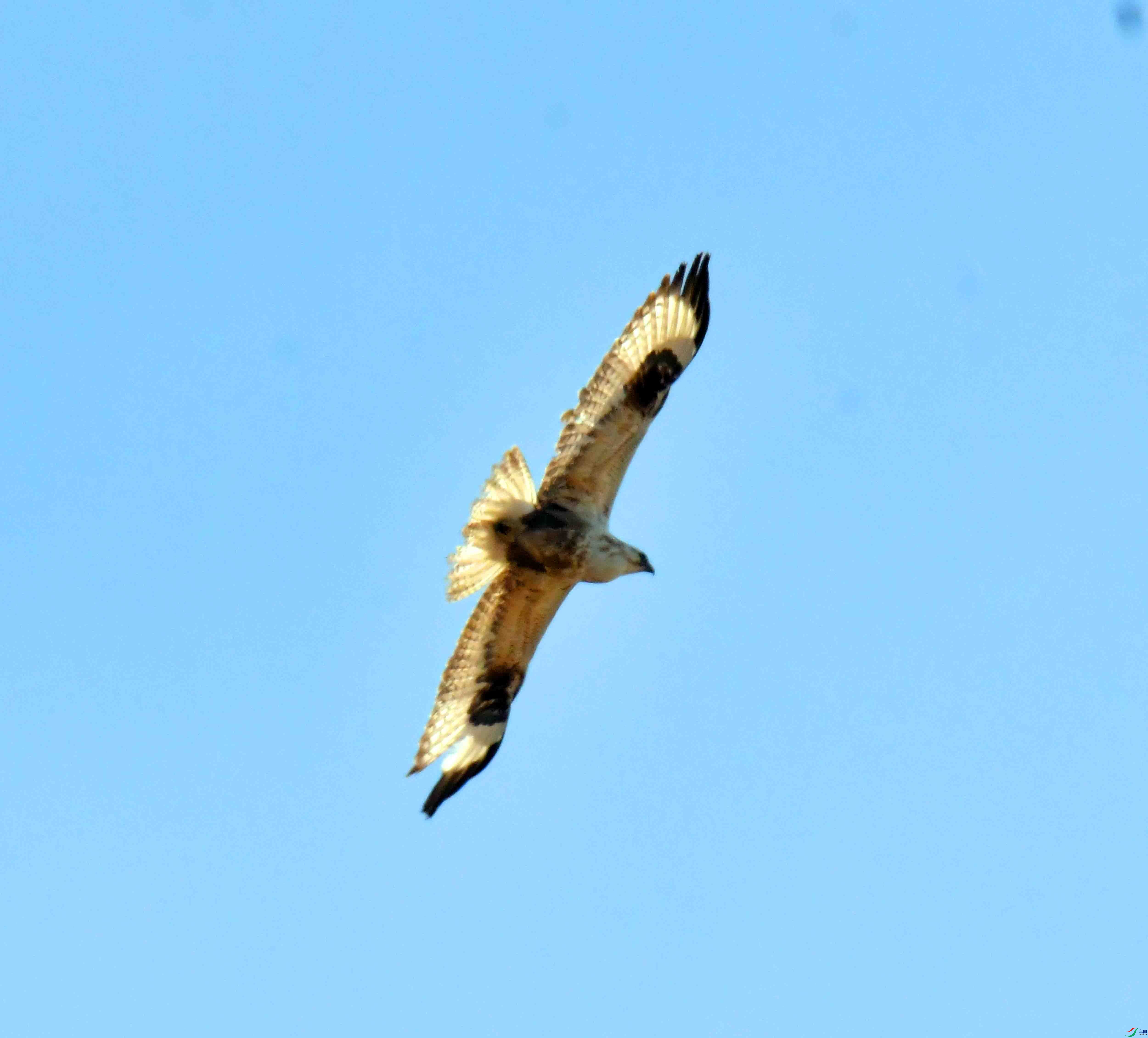 DSC_1835.JPG