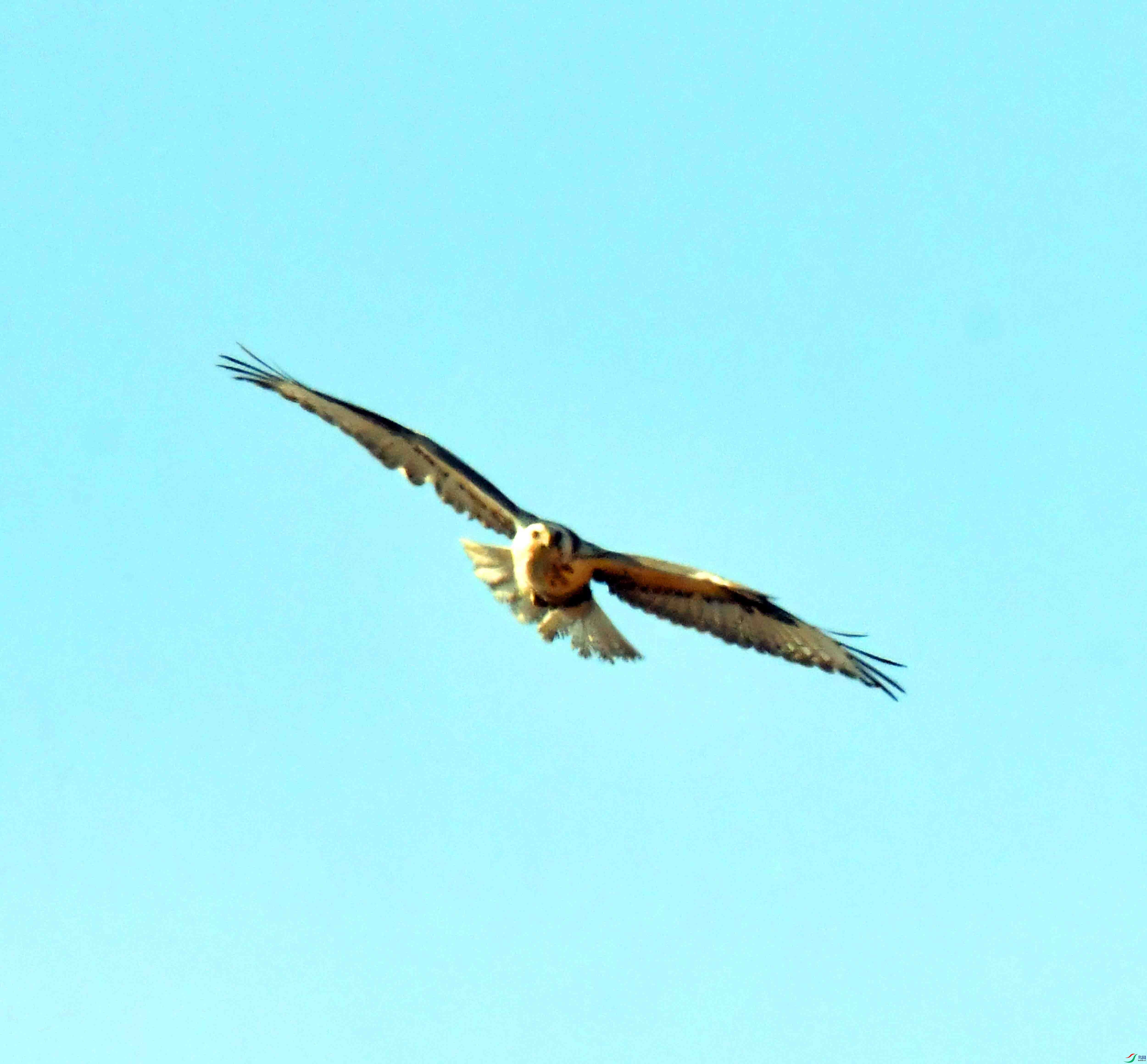 DSC_1845.JPG