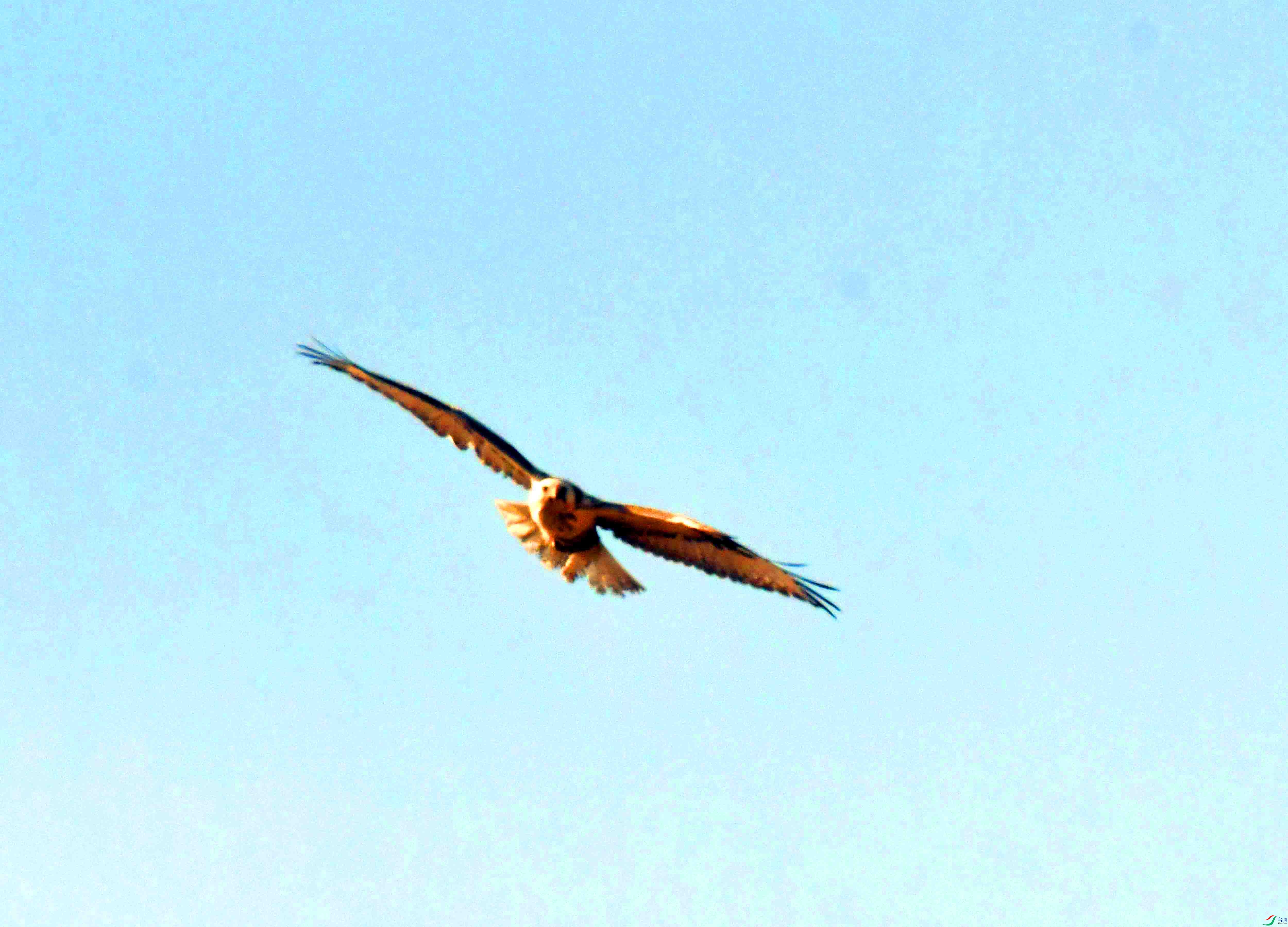 DSC_1844.JPG