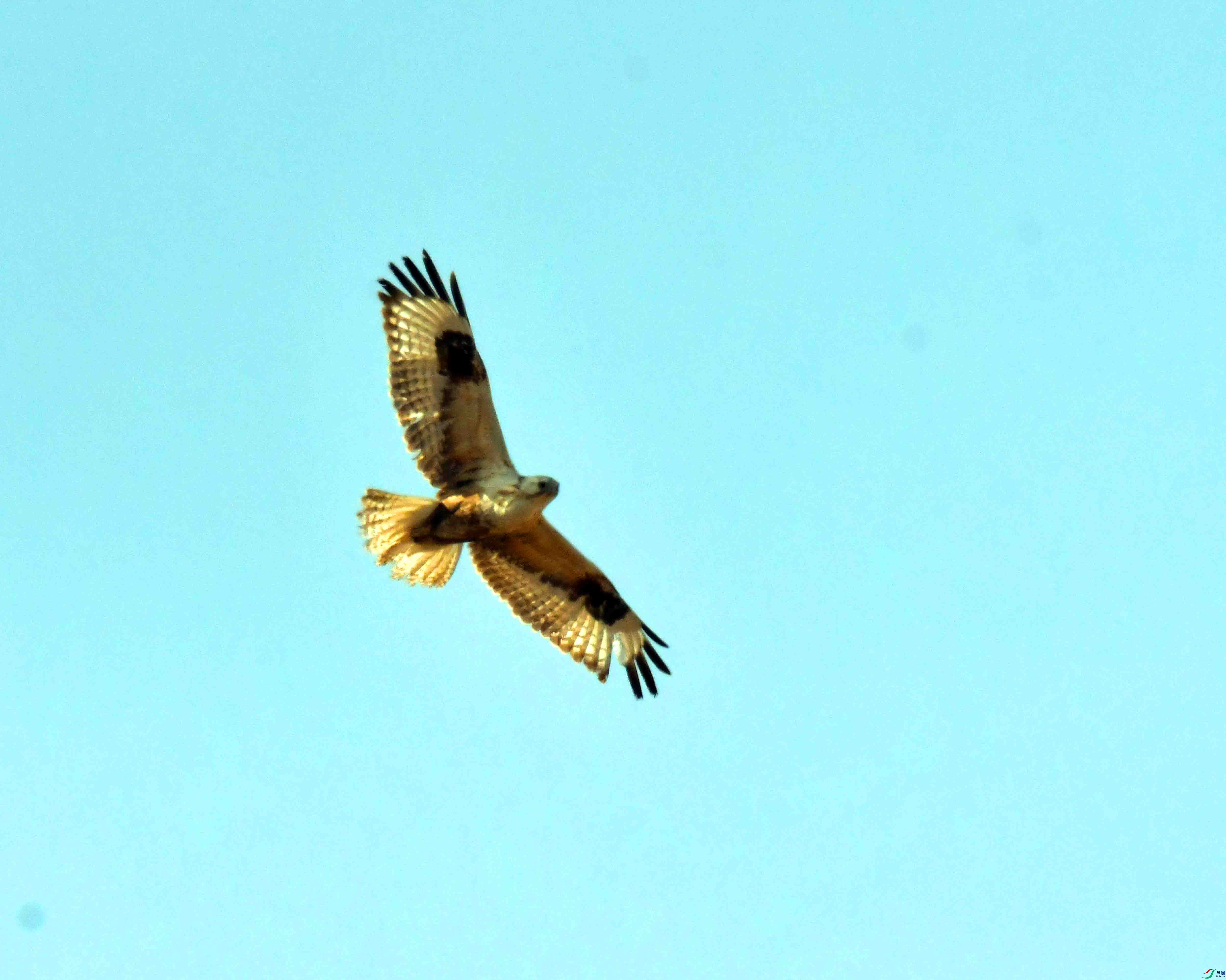 DSC_1846.JPG