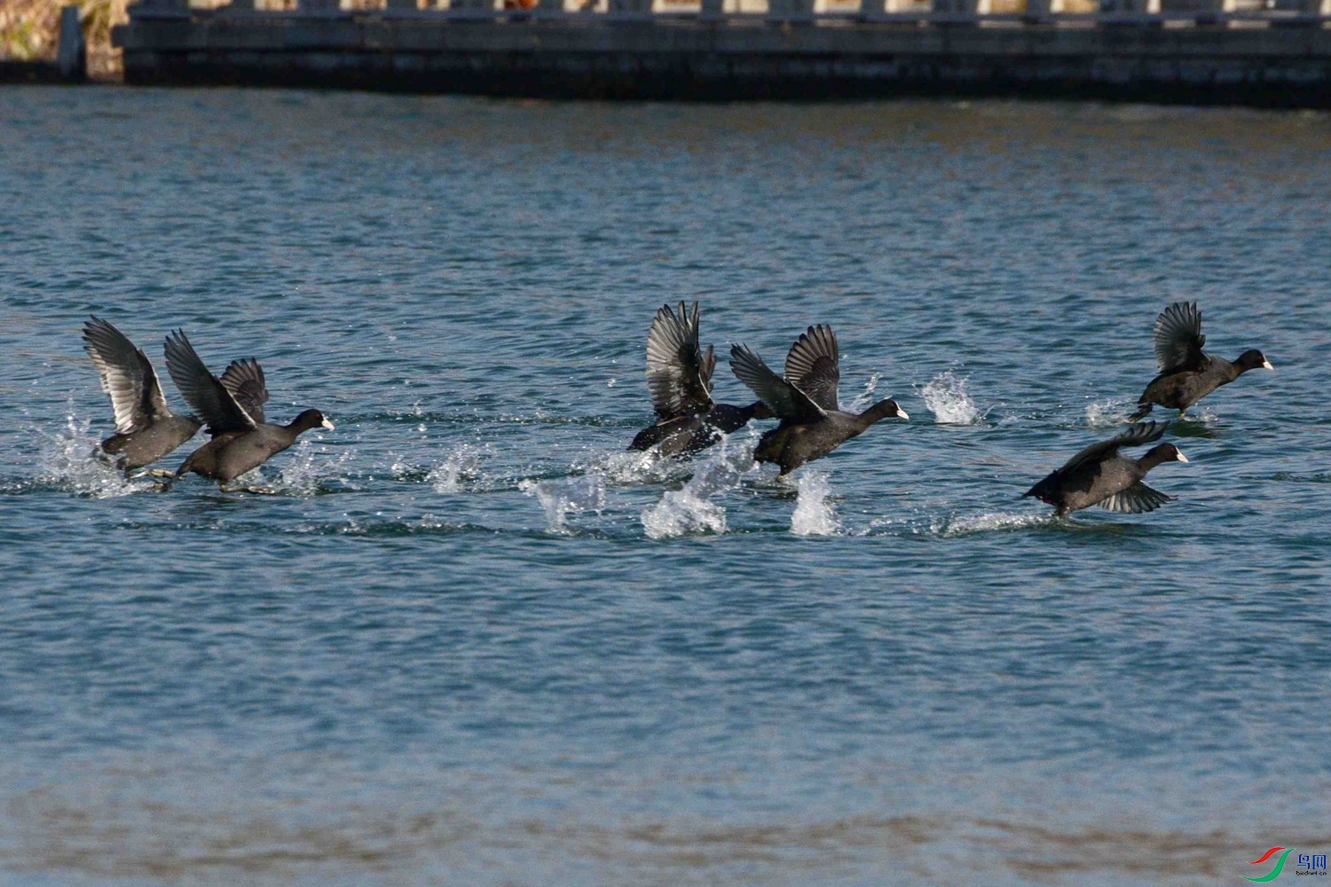 DSC_0335.JPG