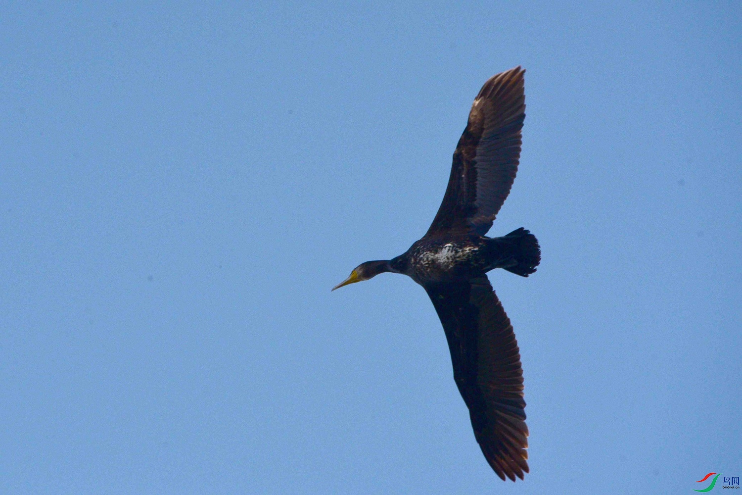 DSC_0421.JPG