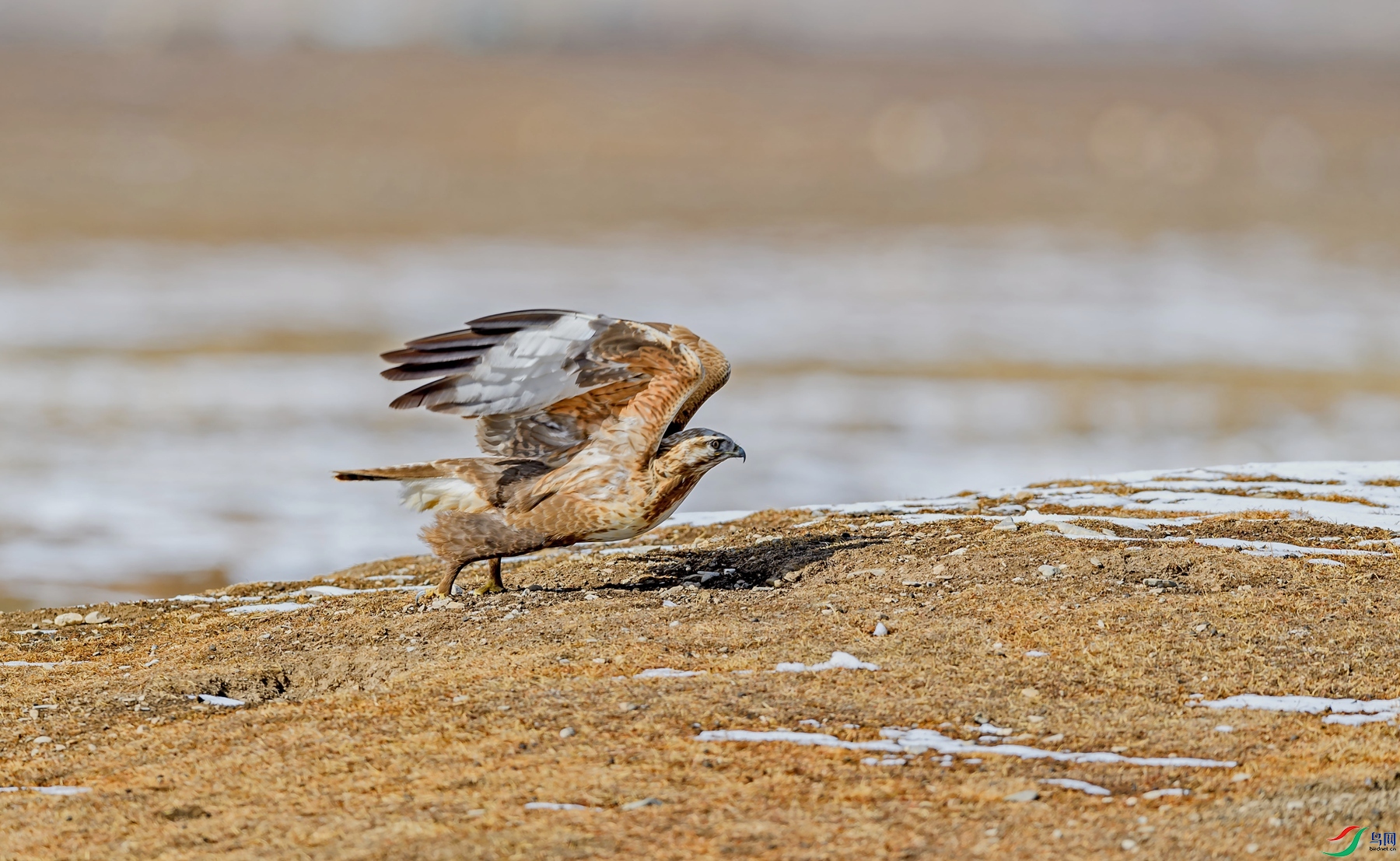 DSC_0566_����.jpg