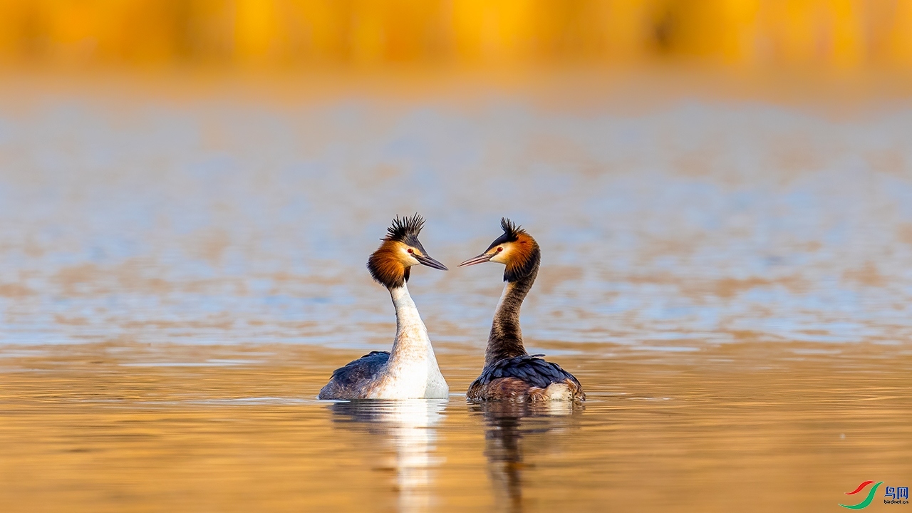 ���Ѿ������� �����మ���������.jpg