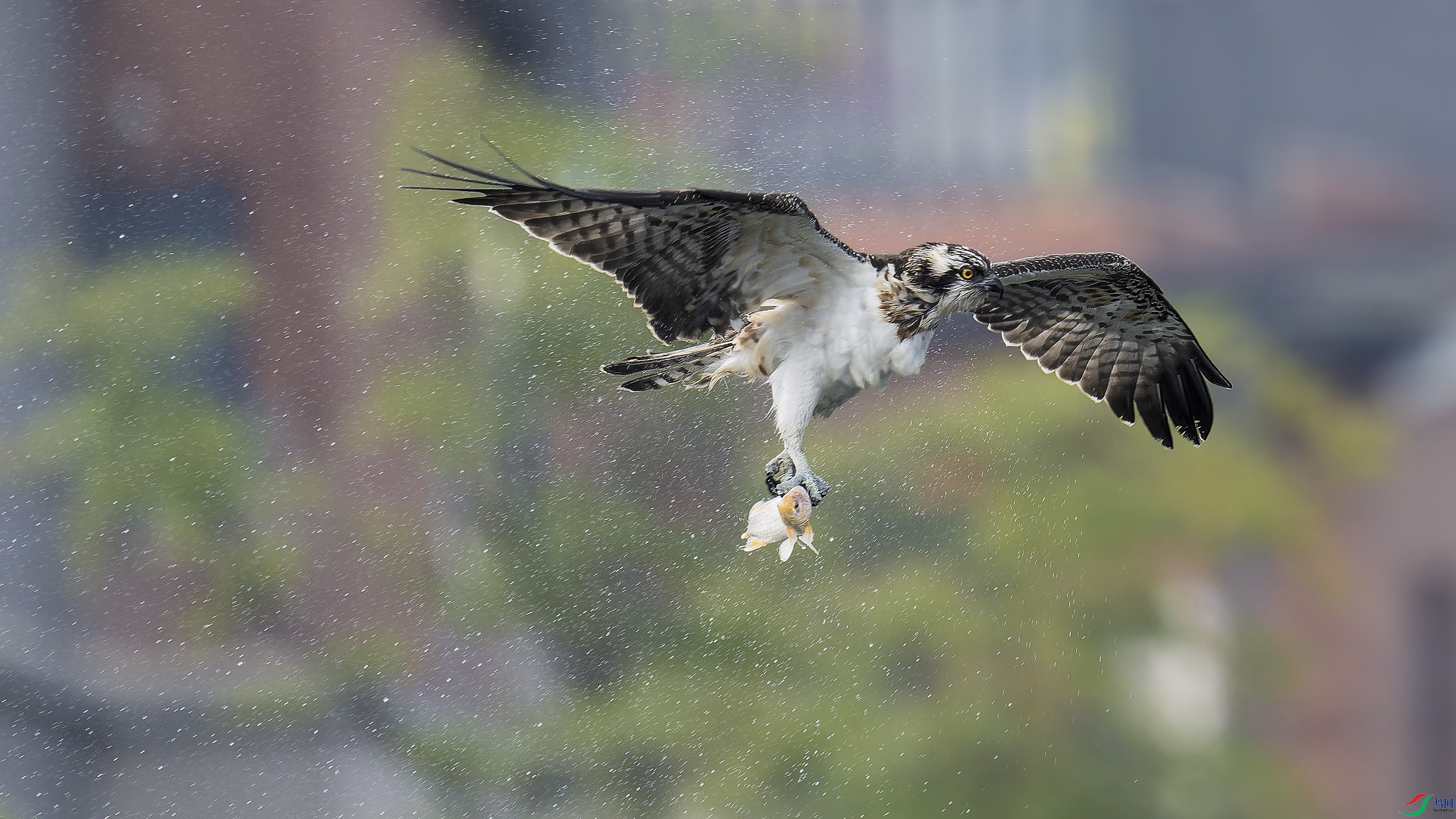 DSC_5112_DxO.jpg