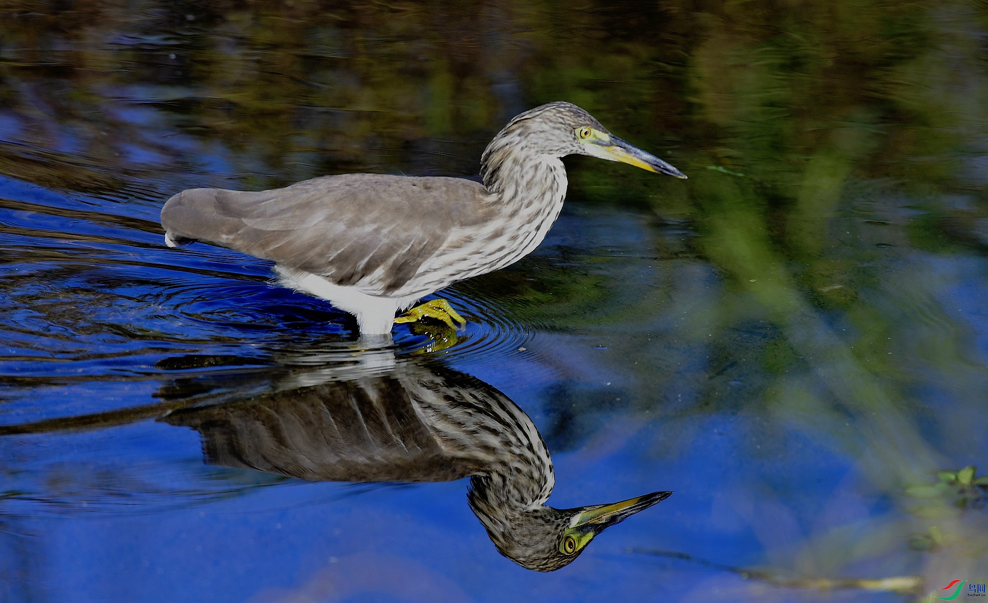 _D5D2447.jpg