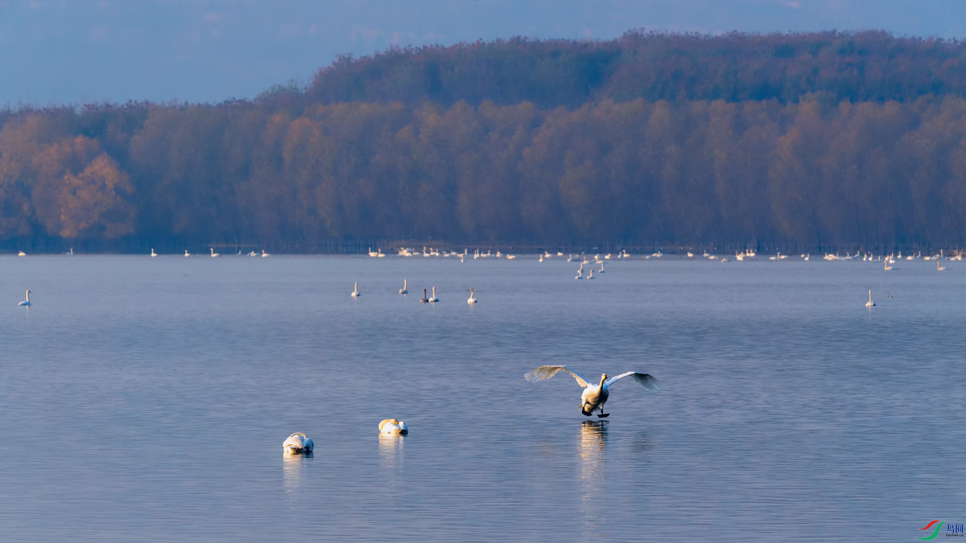 DSC_6203_DxOa.jpg