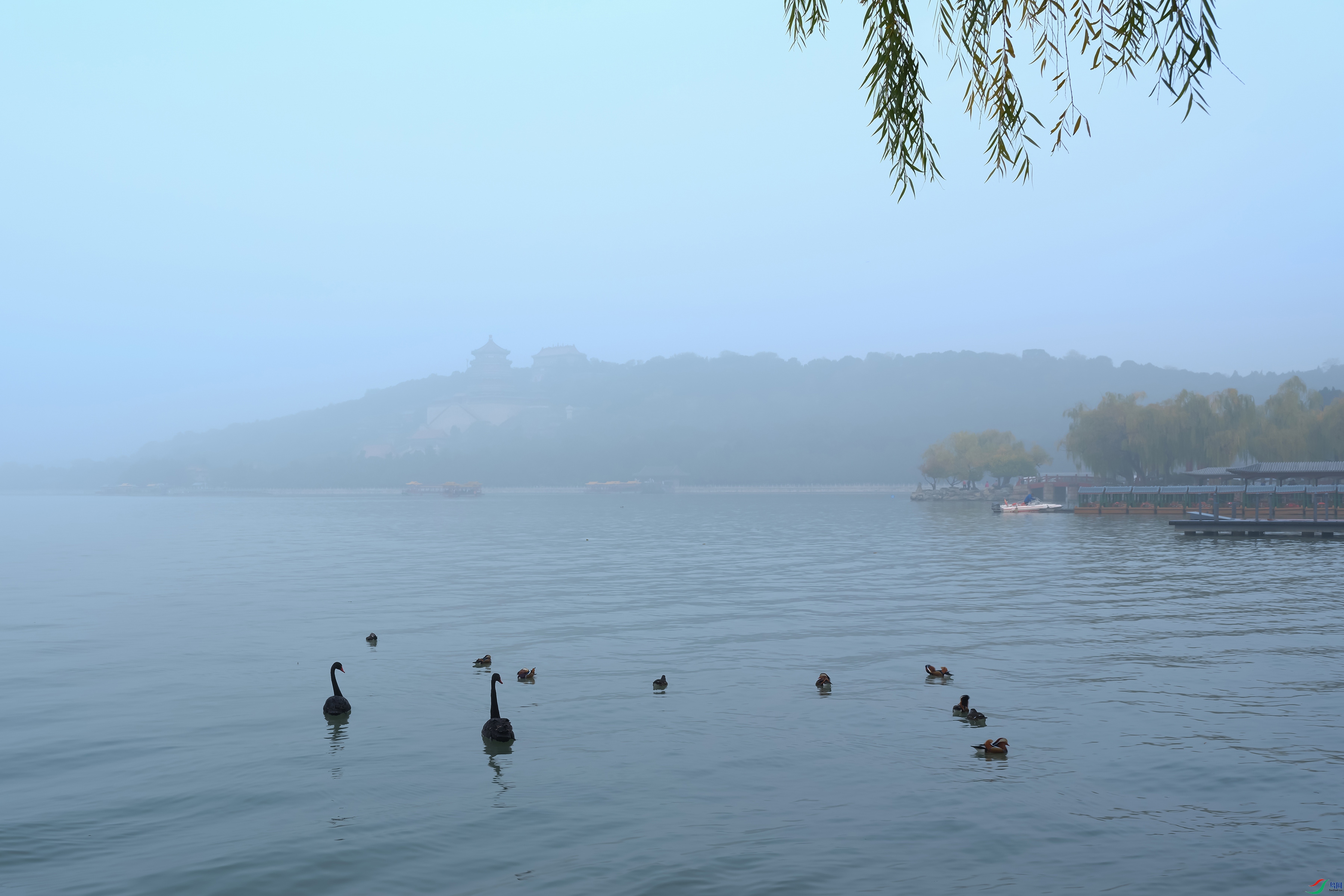 DSCF0135 ����.jpg