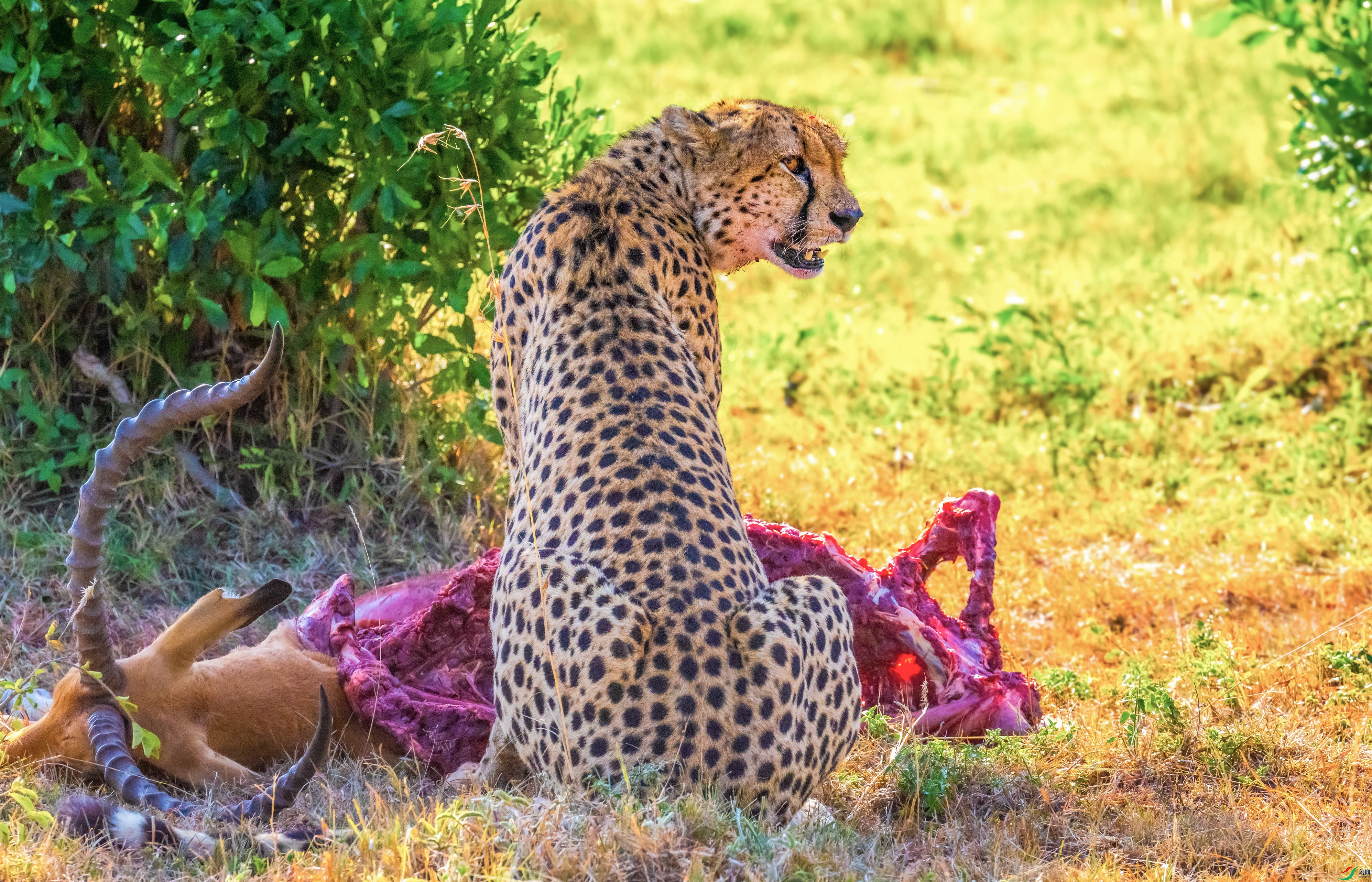 DSC_4847-1_1.jpg
