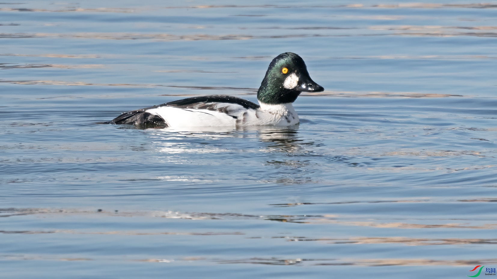 3U2A5655 ���� 2.jpg