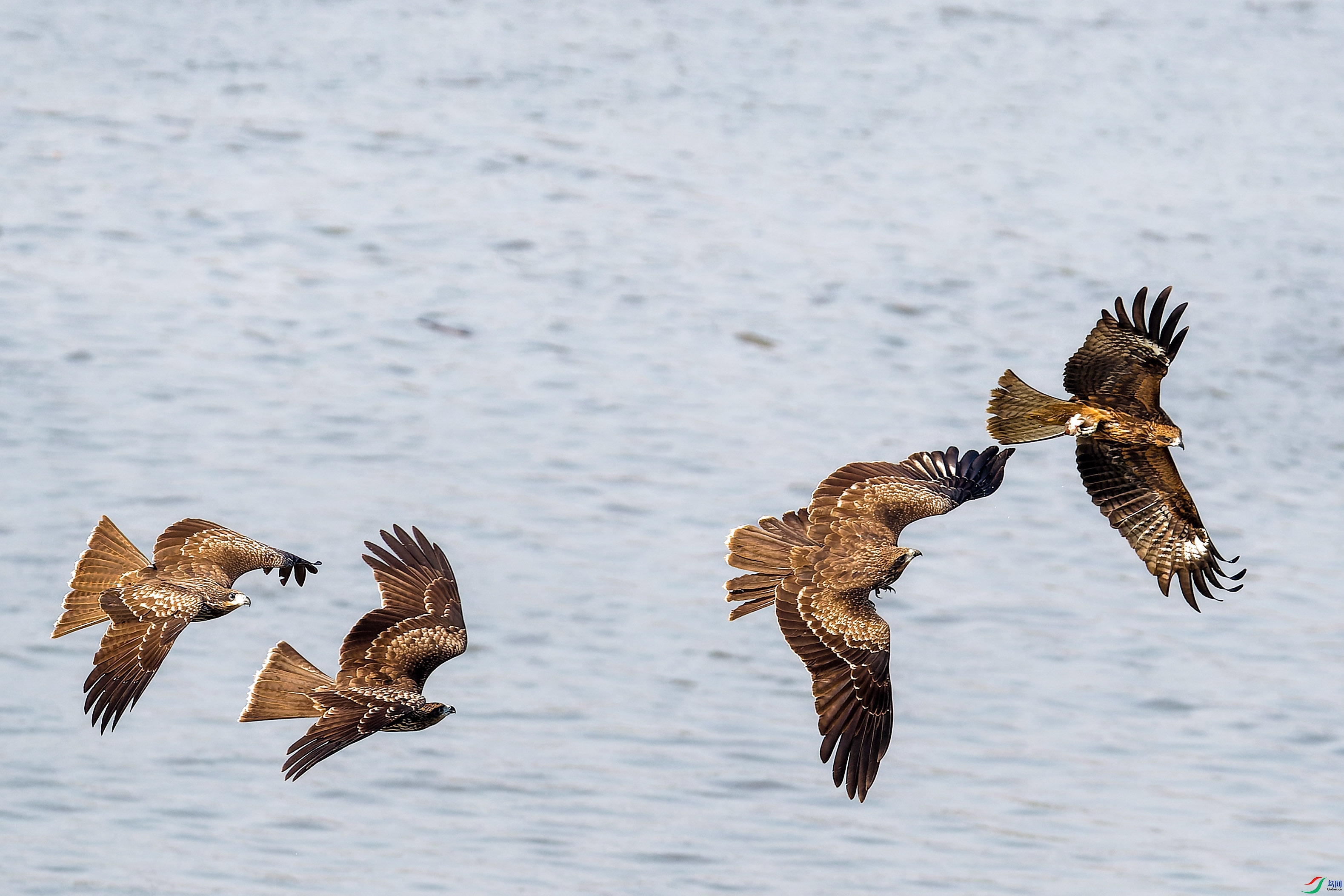 1X2_2853-CR2_DxO_DeepPRIME-1.jpg