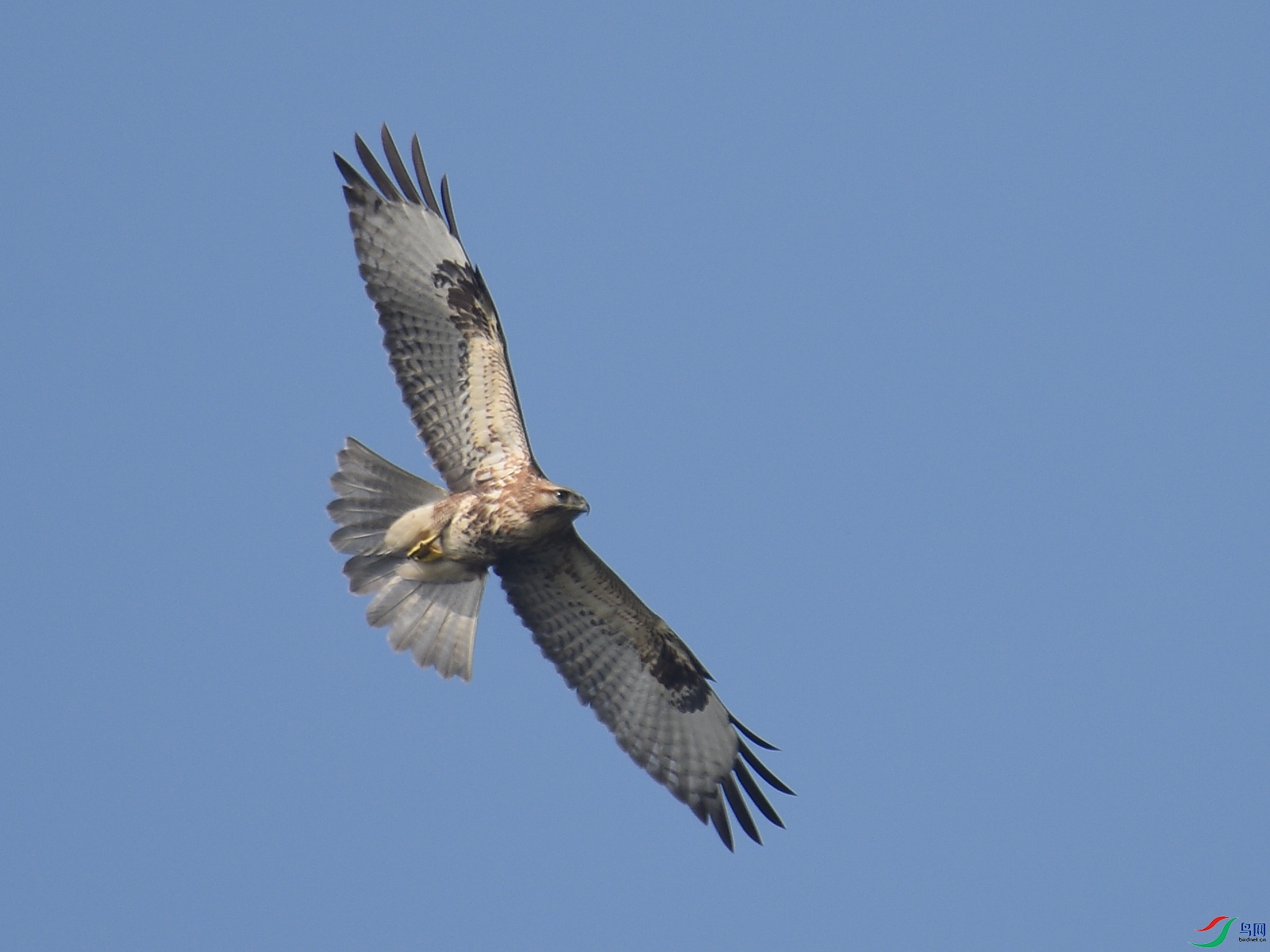 DSC_0814.jpg