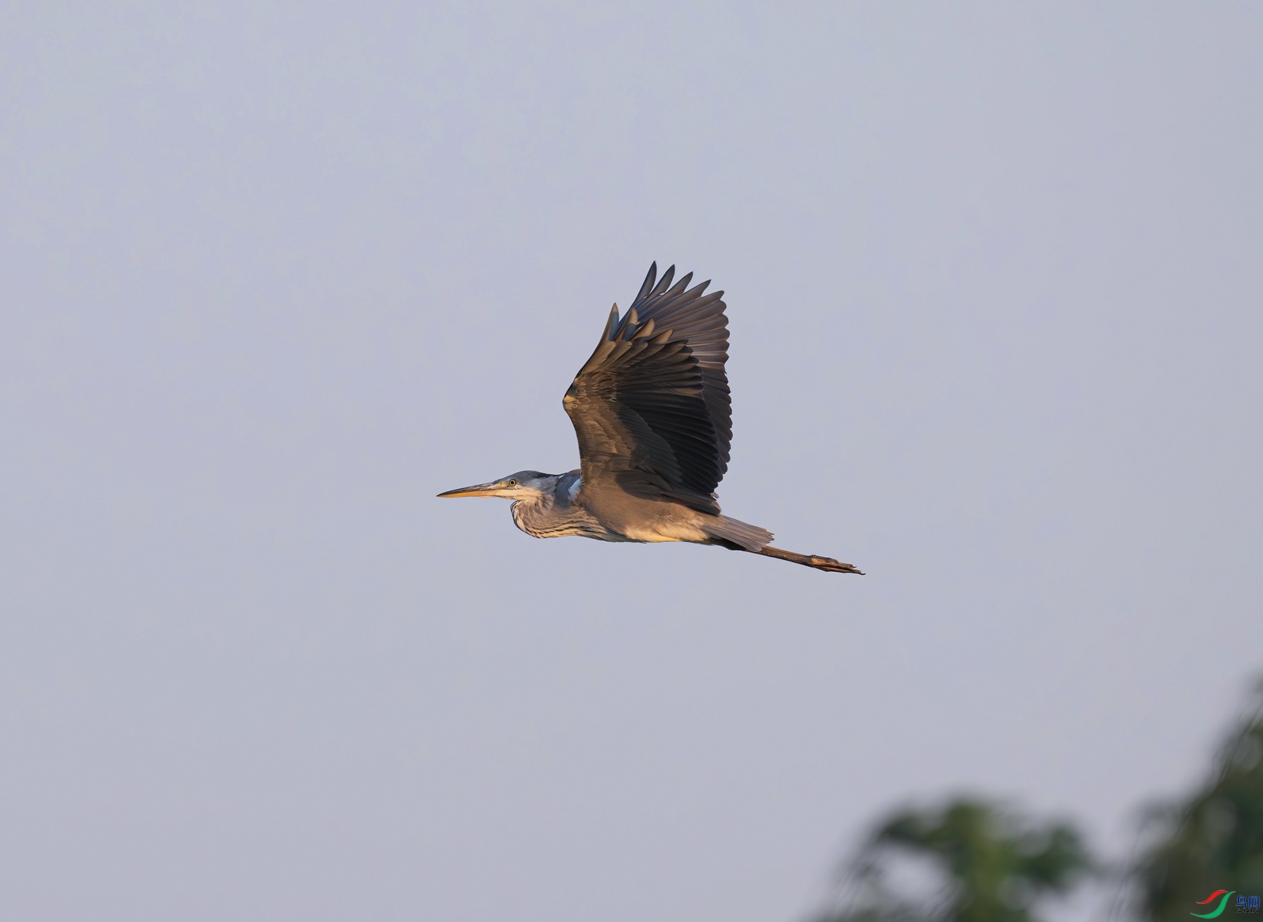 _DSC8709f.jpg
