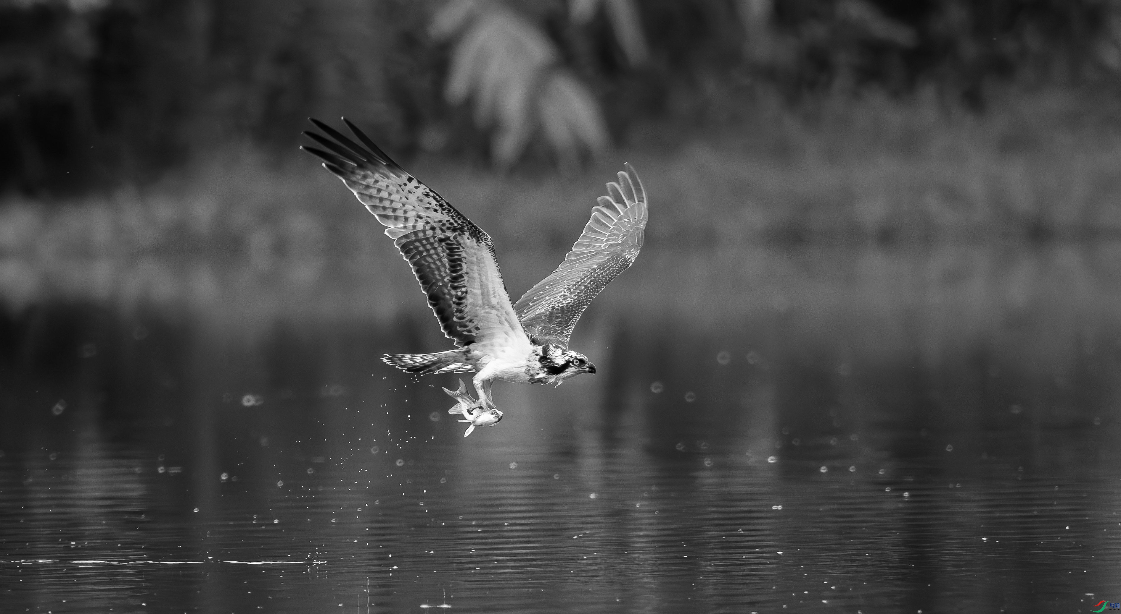 412A2830=R-1_����=00.jpg